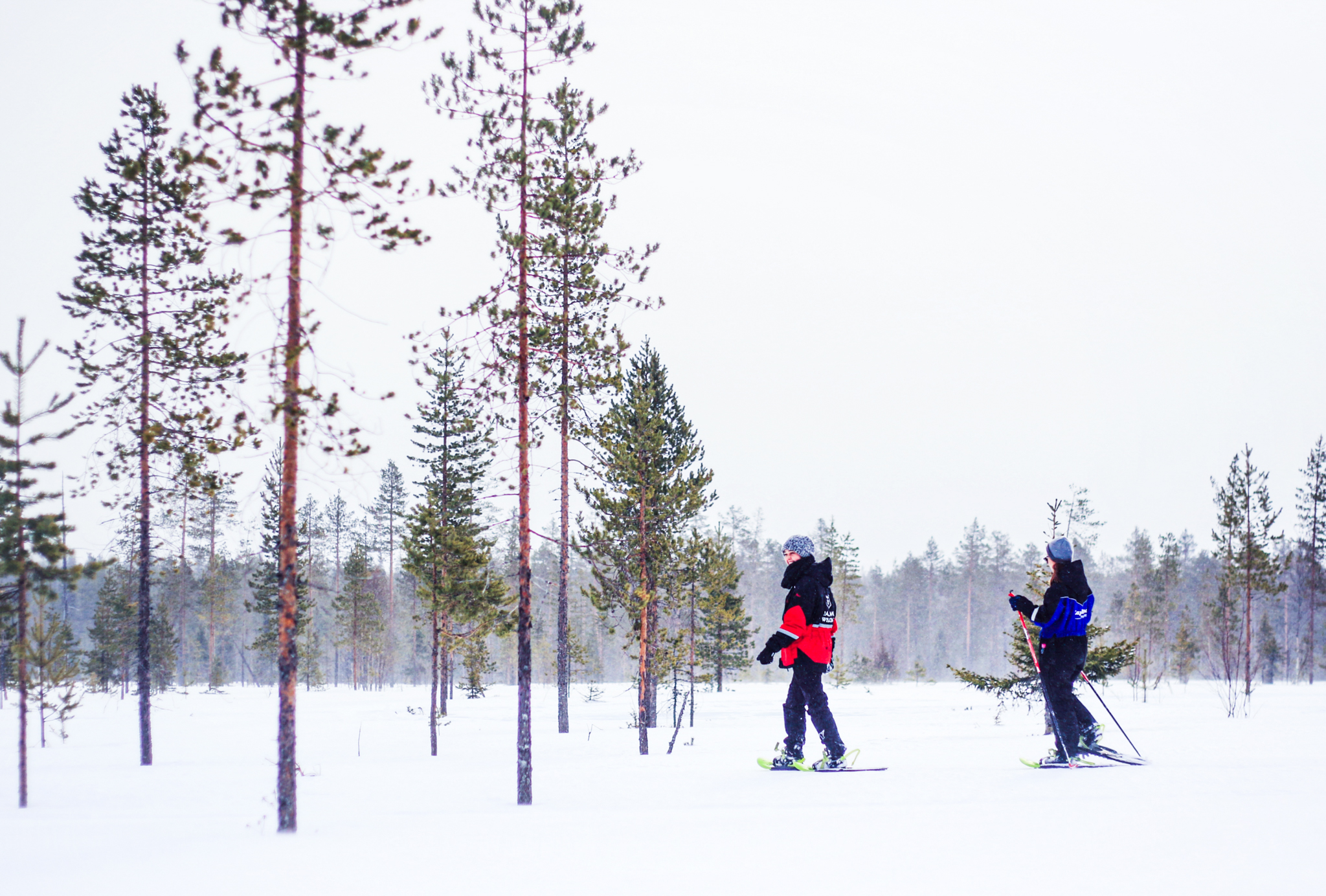 Snowshoe Trip for Ice Fishing in - Saariselkä, Inari