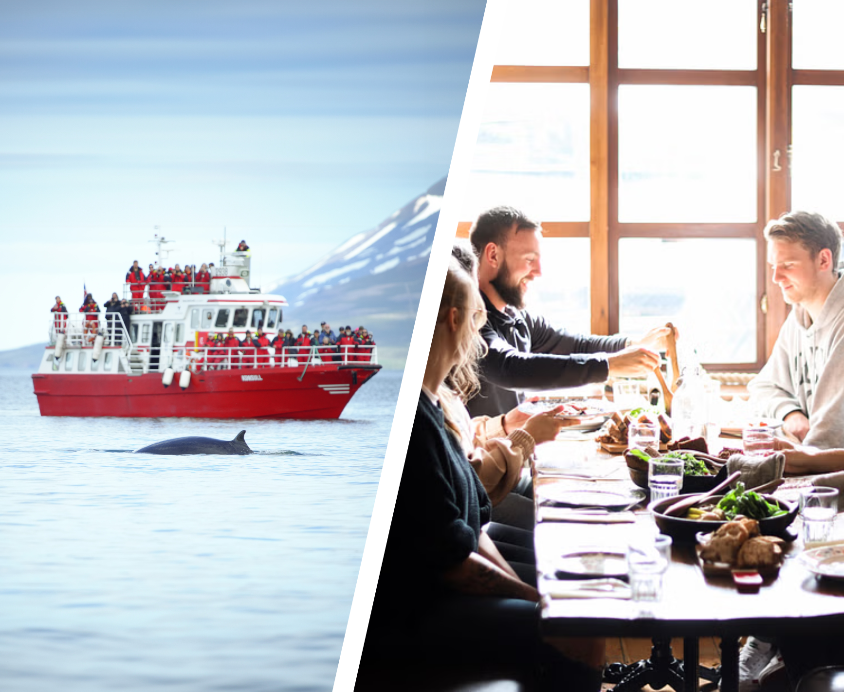 Akureyri: Whale Watching & Food Walk