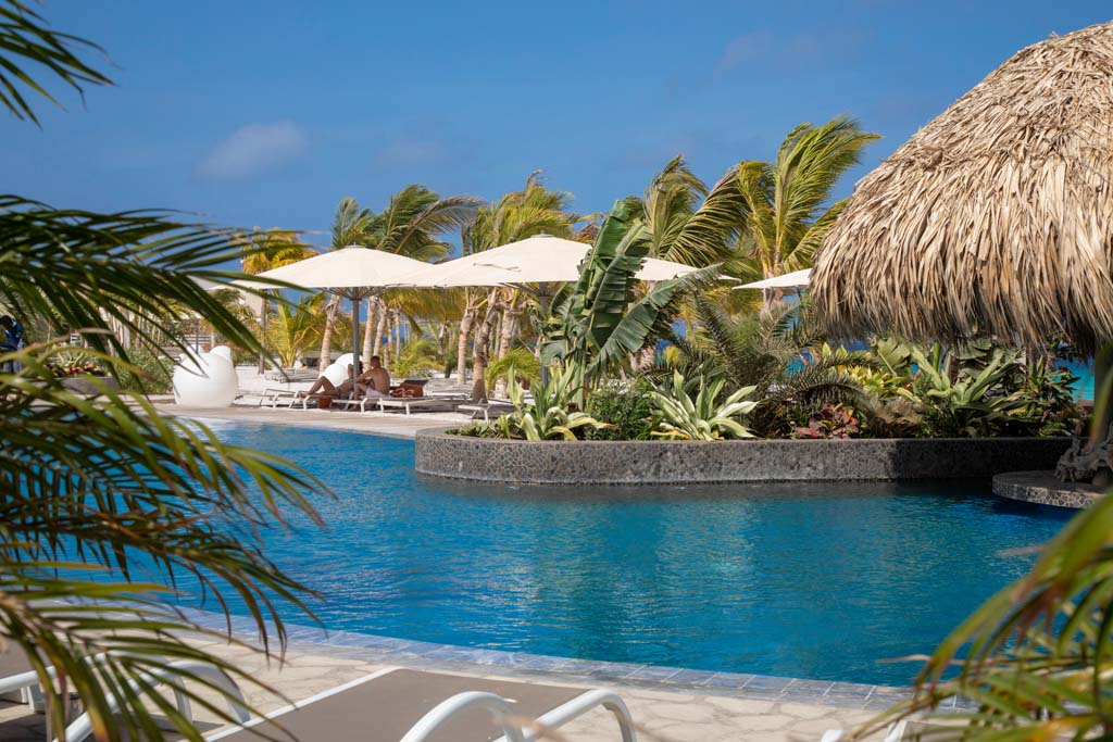 Andi’s Dive Tour (Together with Divefriends Bonaire)