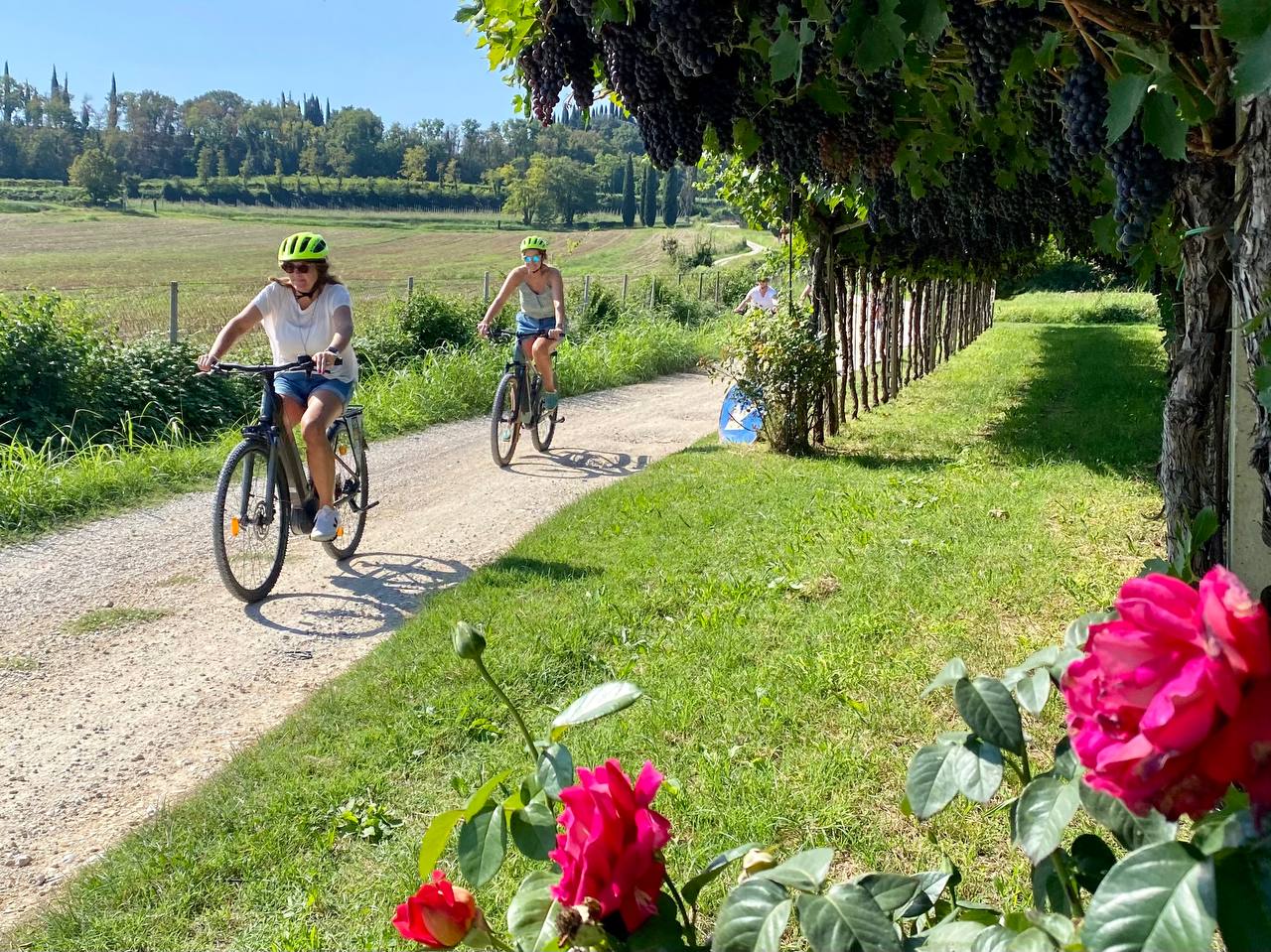 E-Bike Tour and wine tasting in Lazise Countryside