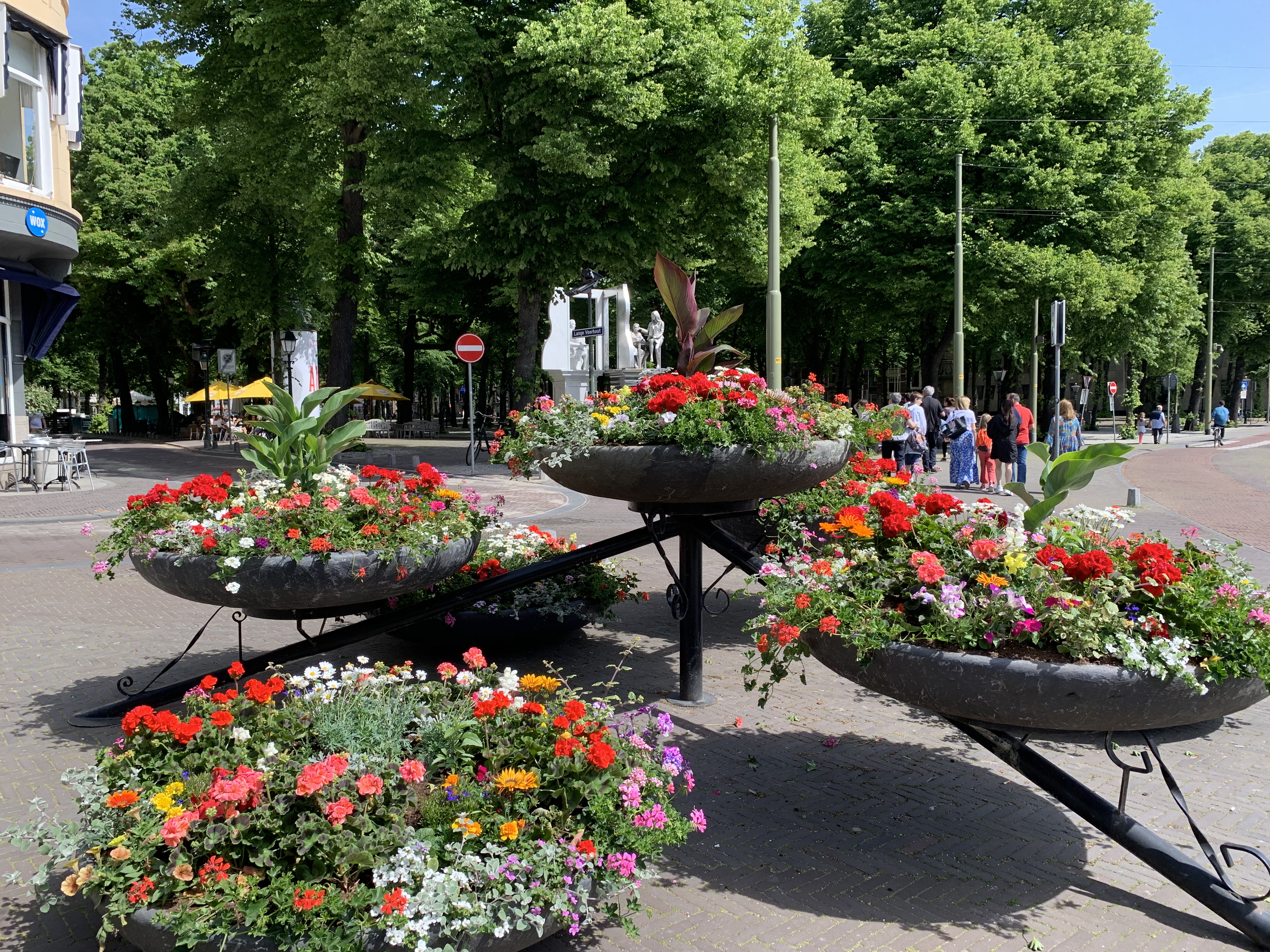 The Hague private tour