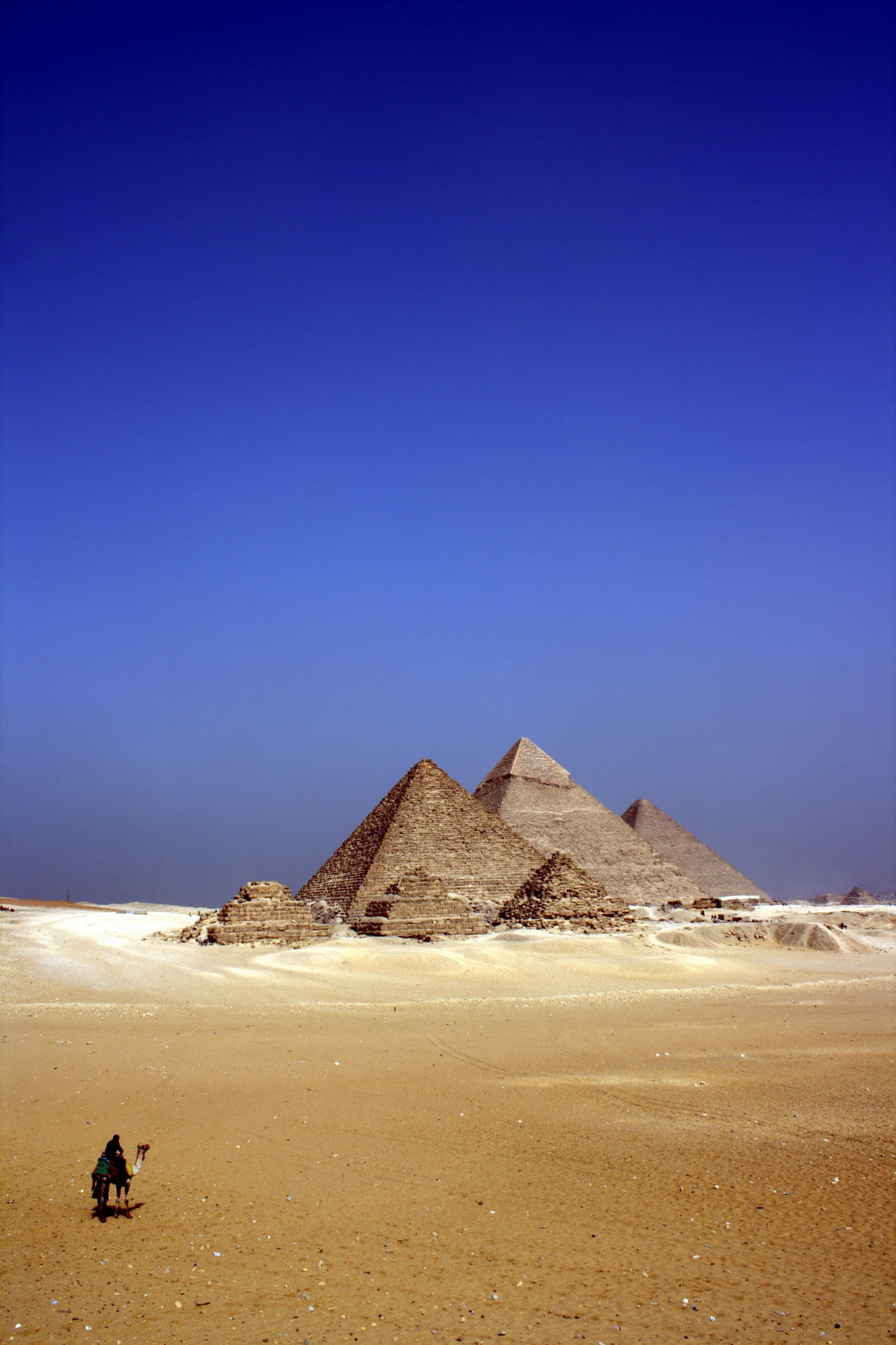 Full Day: Full-Day to Cairo by Bus: Giza Pyramids & Egyptian Museum