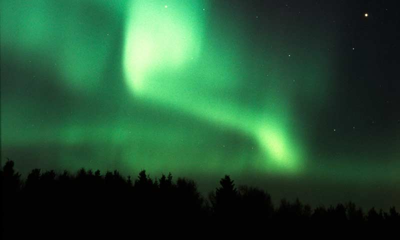 Northern Lights Snowmobile Safari – single driving