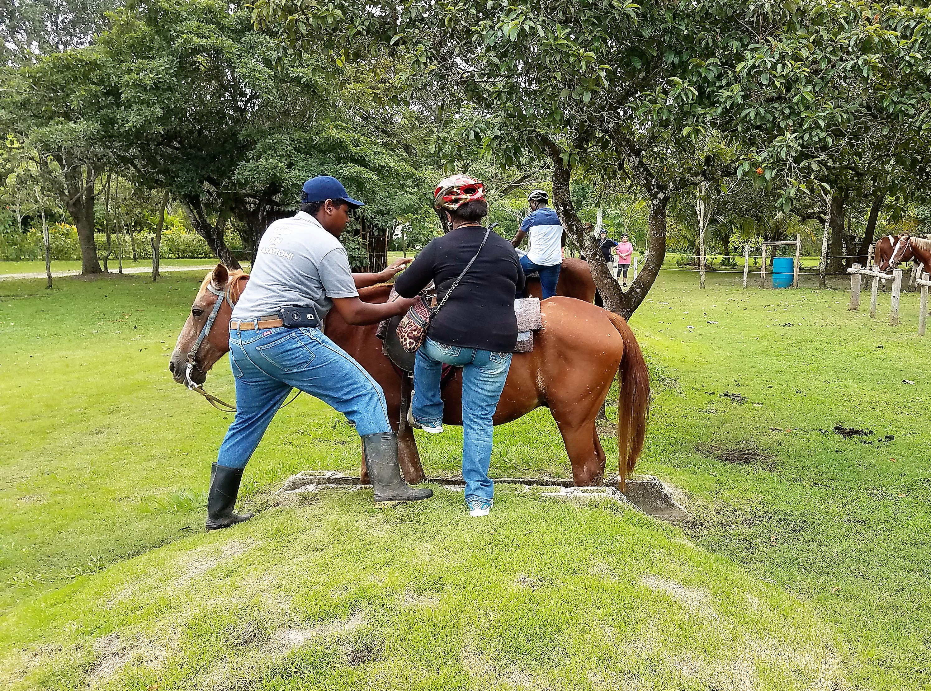 Jungle Horseback Safari & Bacab Eco Park