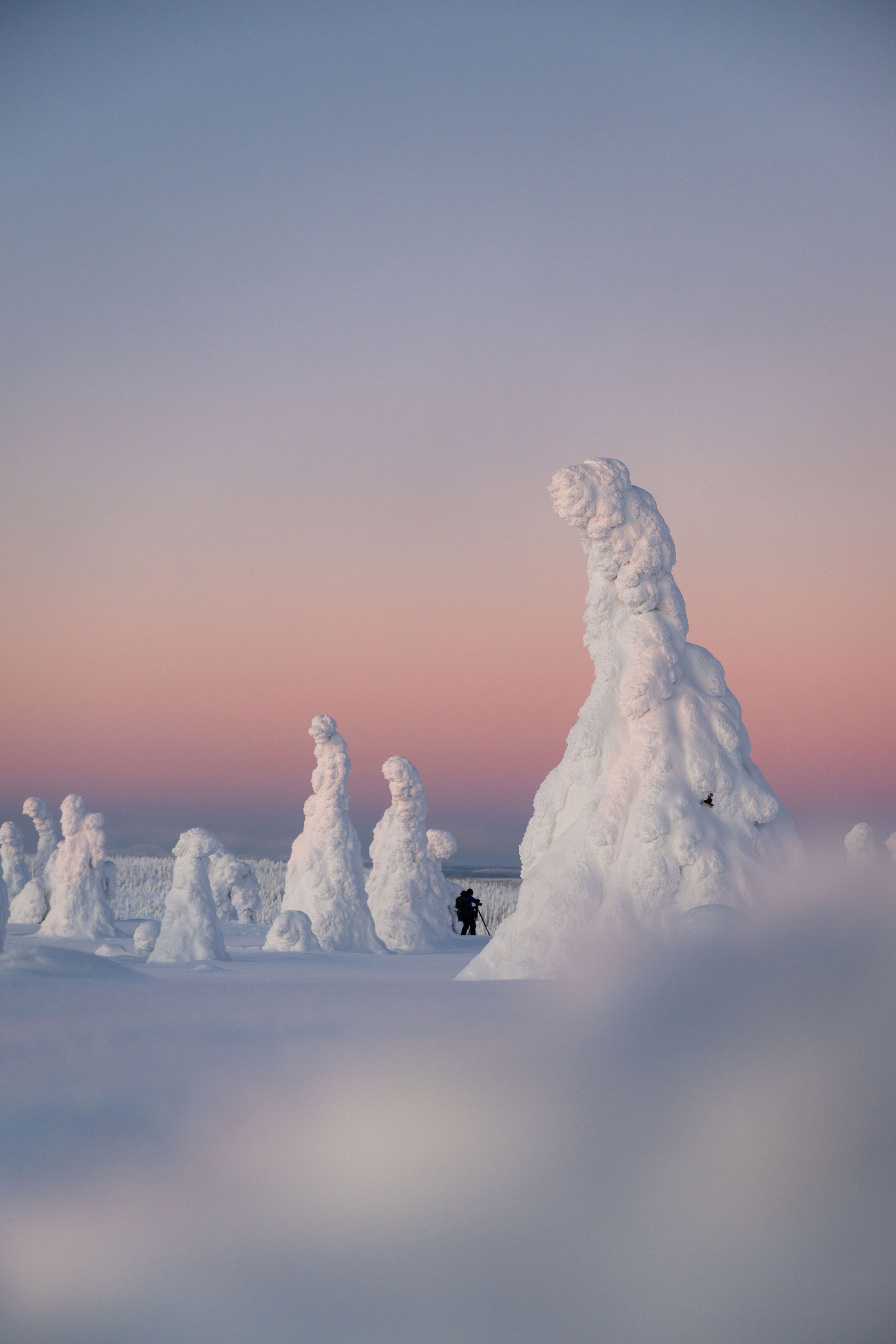 Riisitunturi Snow Monsters Winter Hike from Rovaniemi