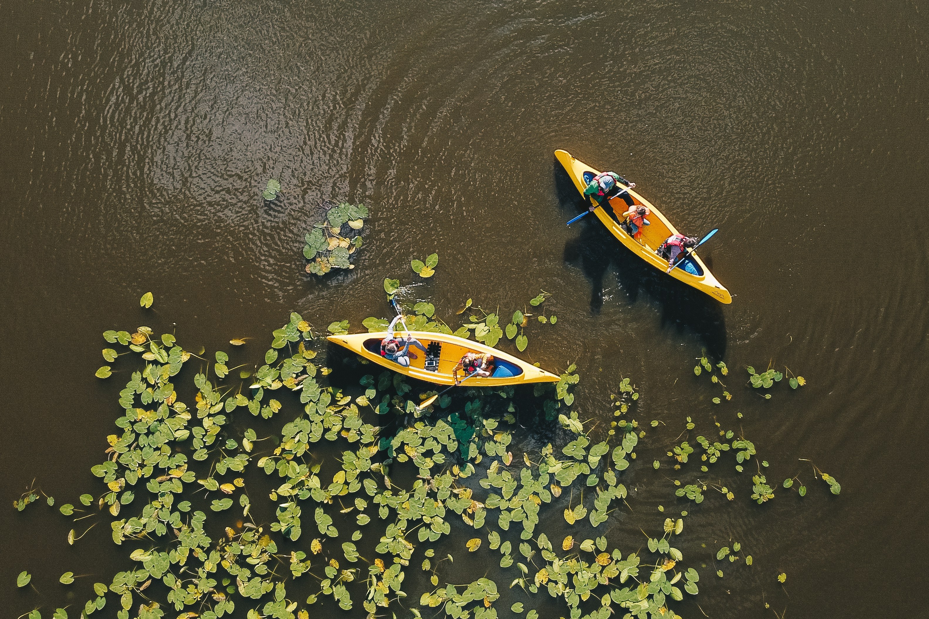 Canoe Trip in Lapland