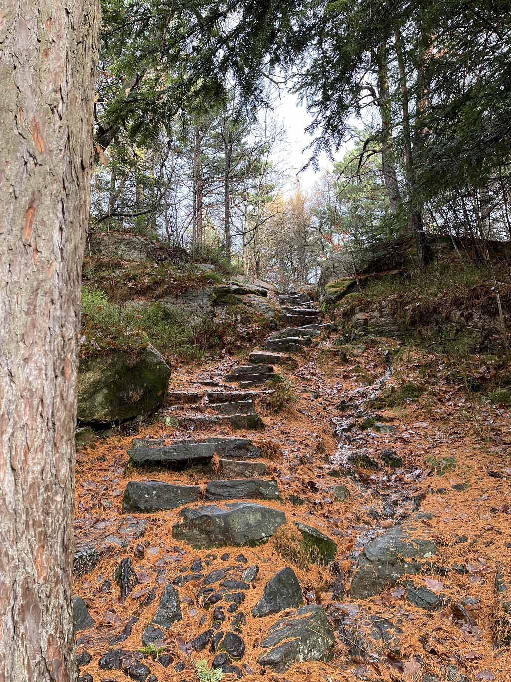 Kristiansand: Private Lochner hike