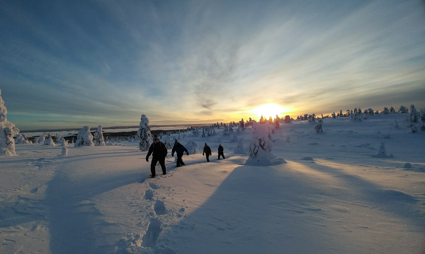 Snowshoeing in Riisitunturi National park