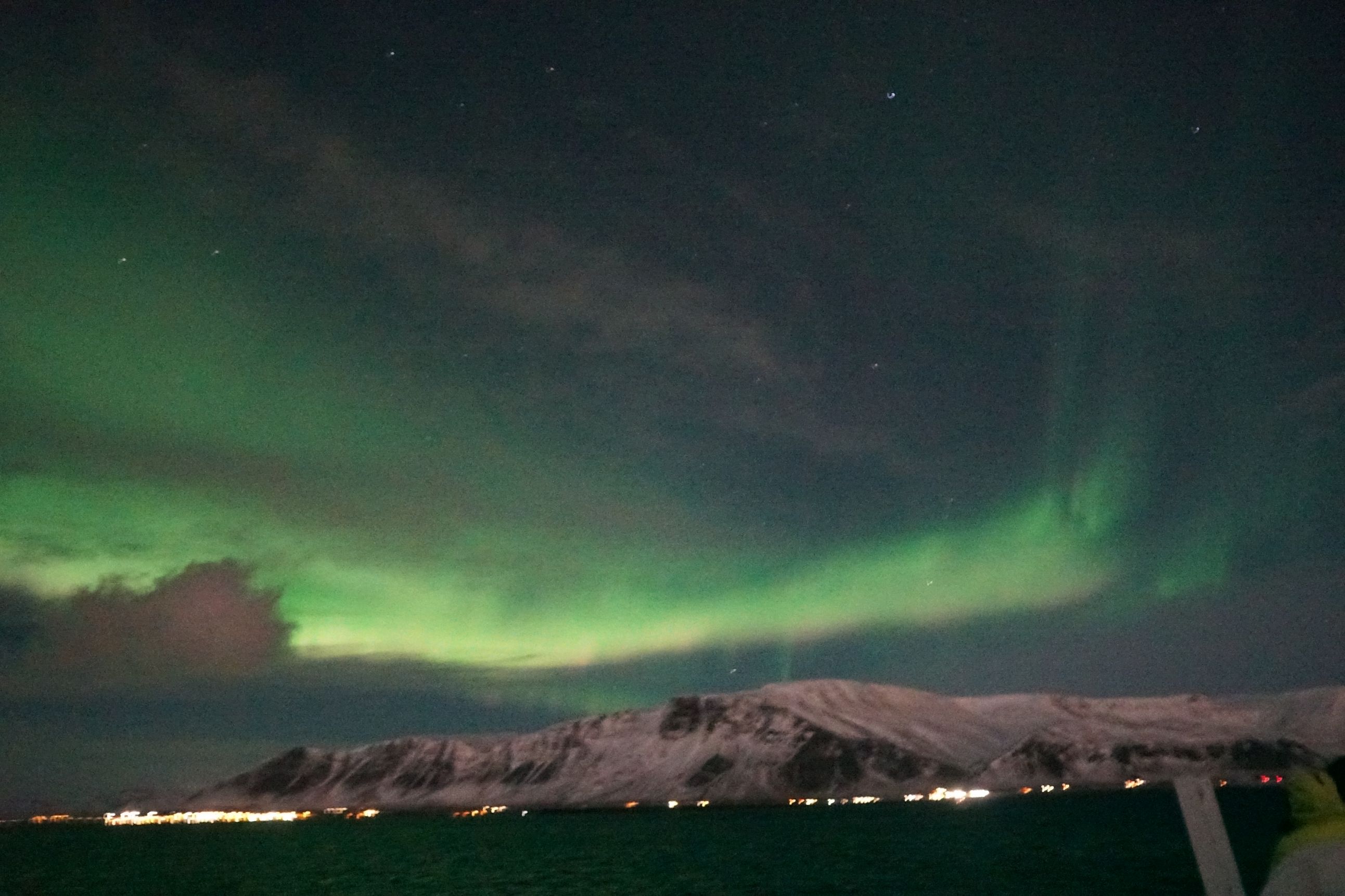 Whale Watching & Northern lights Combo Cruise from Reykjavik