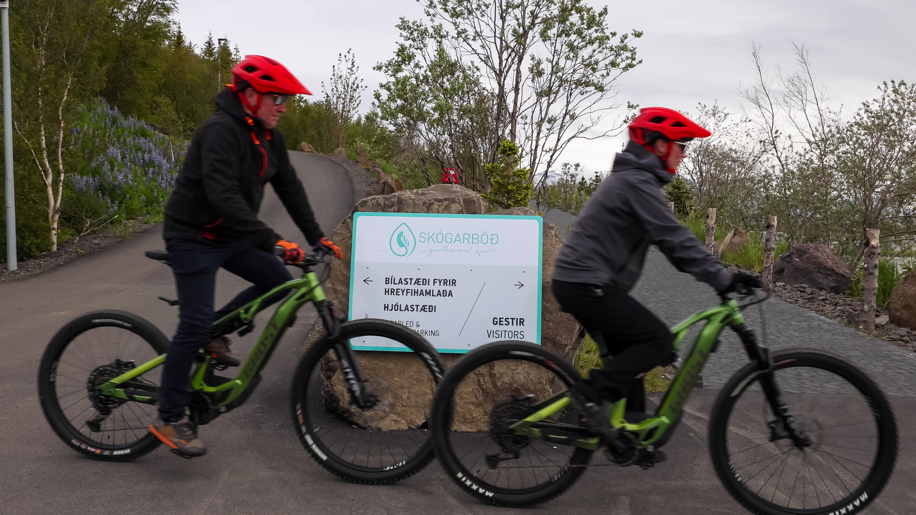 Akureyri Guided E-Bike Tour