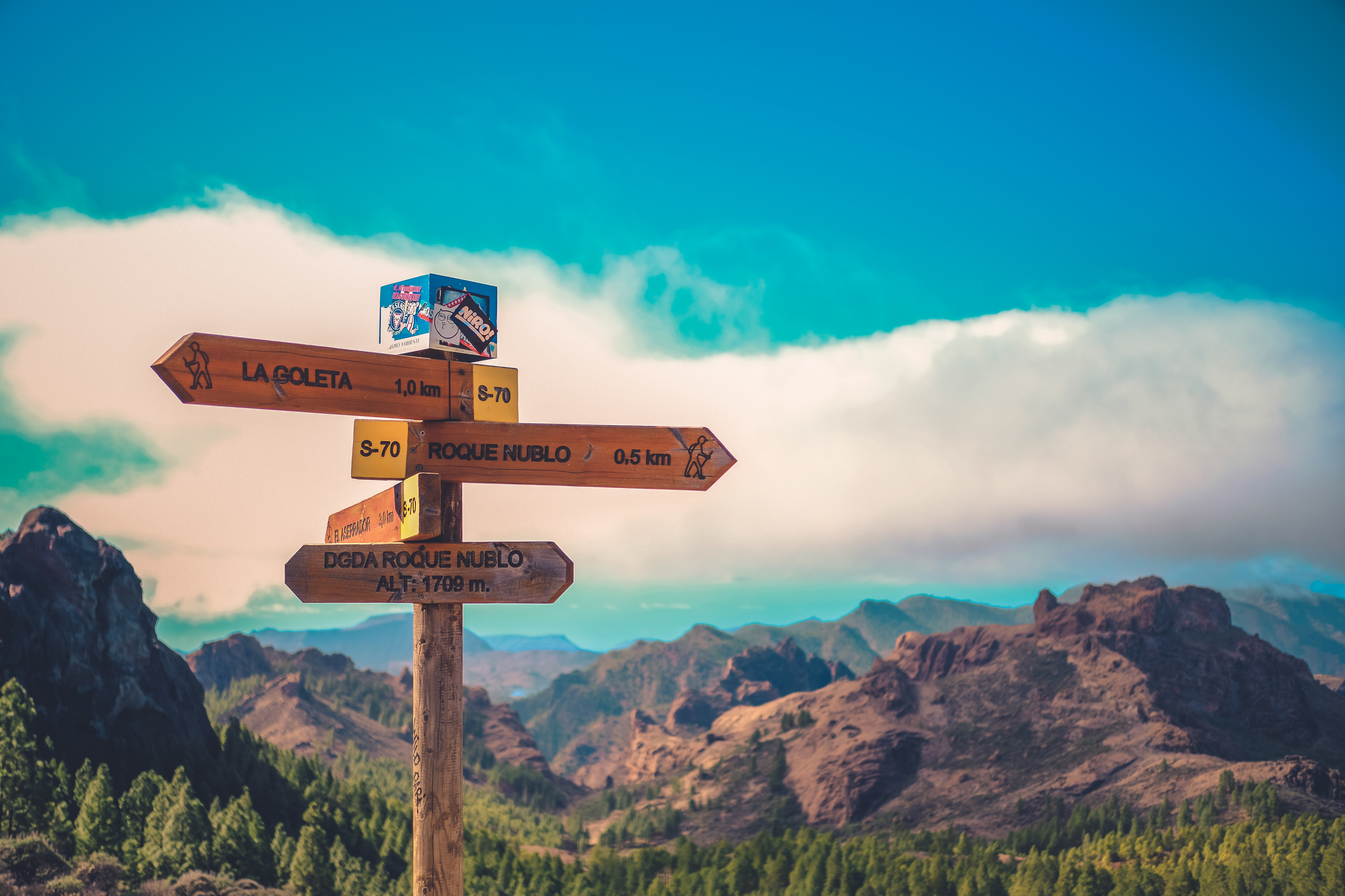 MBA Hiking Trip: From Guayadeque to Agaete - PRIVADO