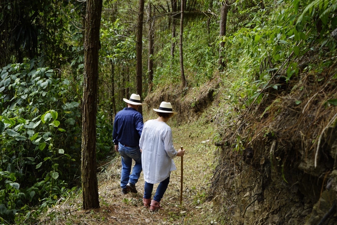 Eco Trek and Birdwatching in the Andes Cordillera - Day Trip @ Finca La Manchuria - Close to Medellin
