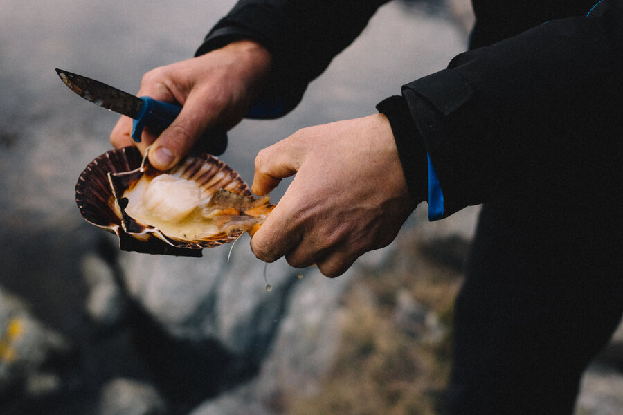 RIB gastronomy tour "From fjords to islets", Bergen