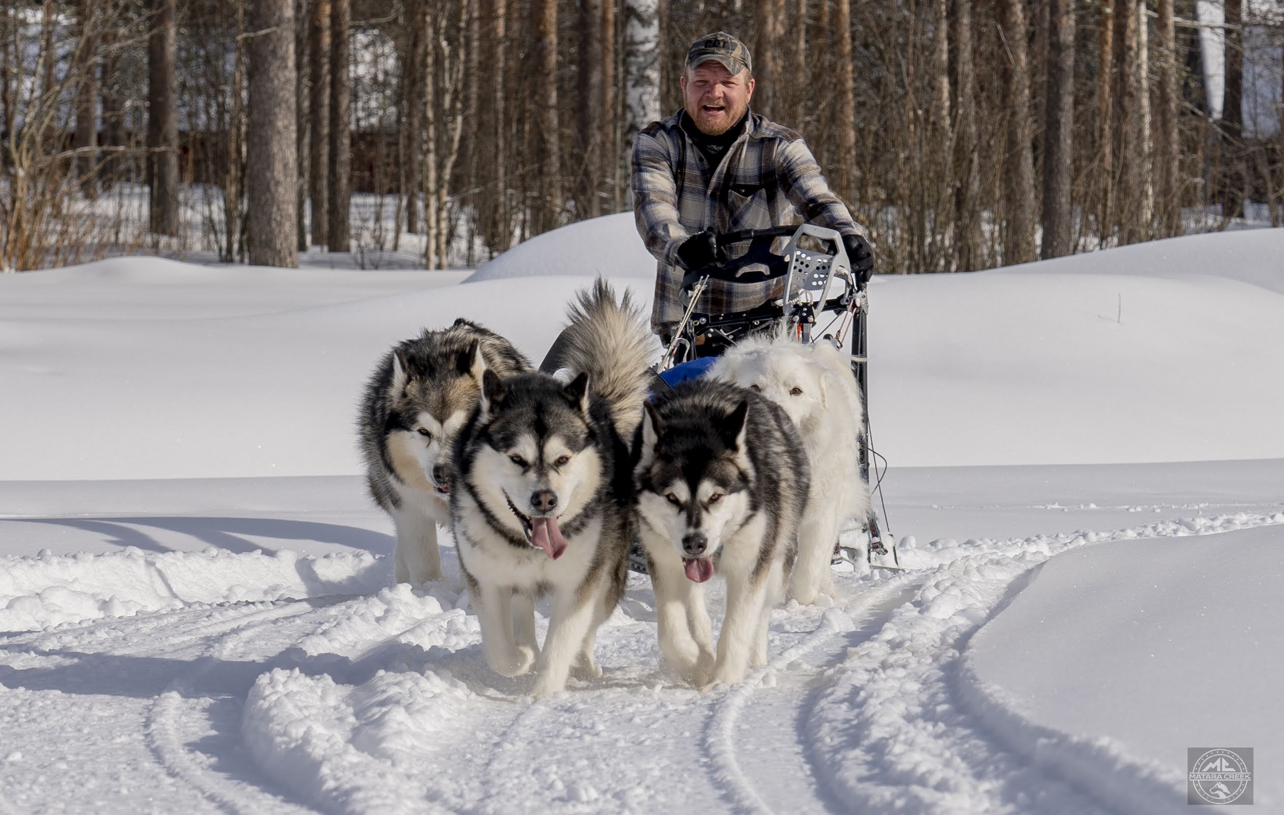 10KM Self Driven Husky Sled Adventure in Rovaniemi