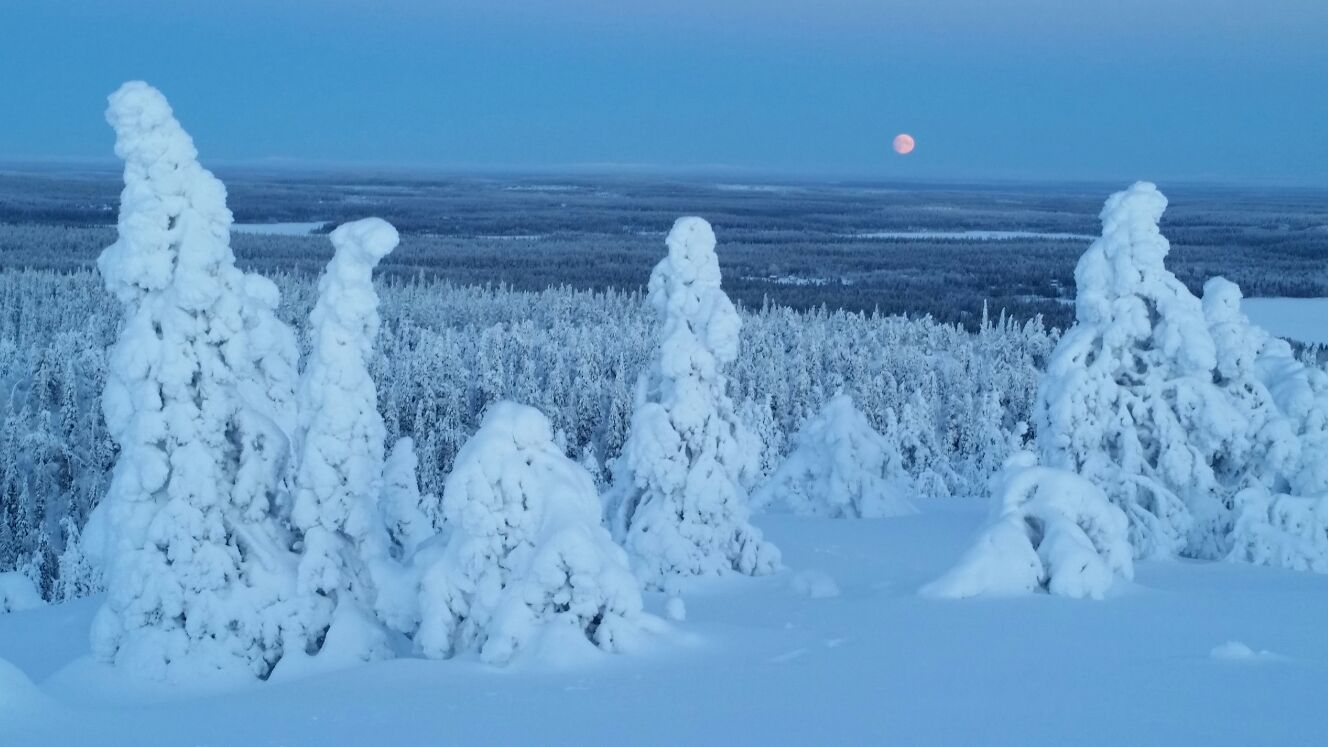 Full Moon Snowshoeing Tour in Riisitunturi National Park