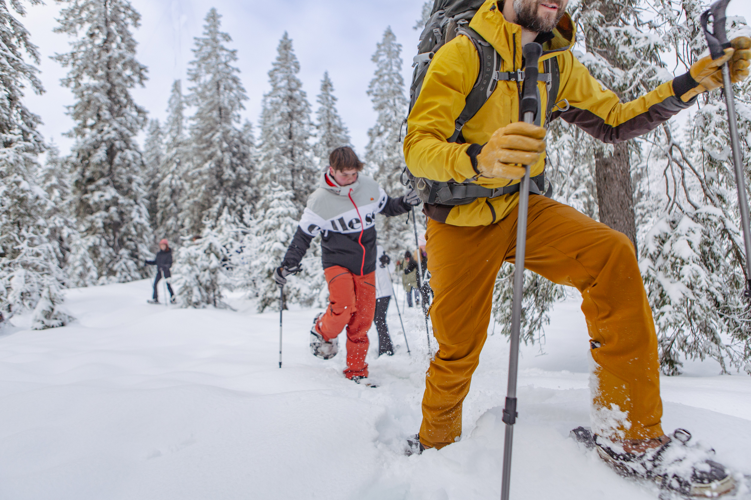 Private Snowshoe in Winter Wonderland Tour