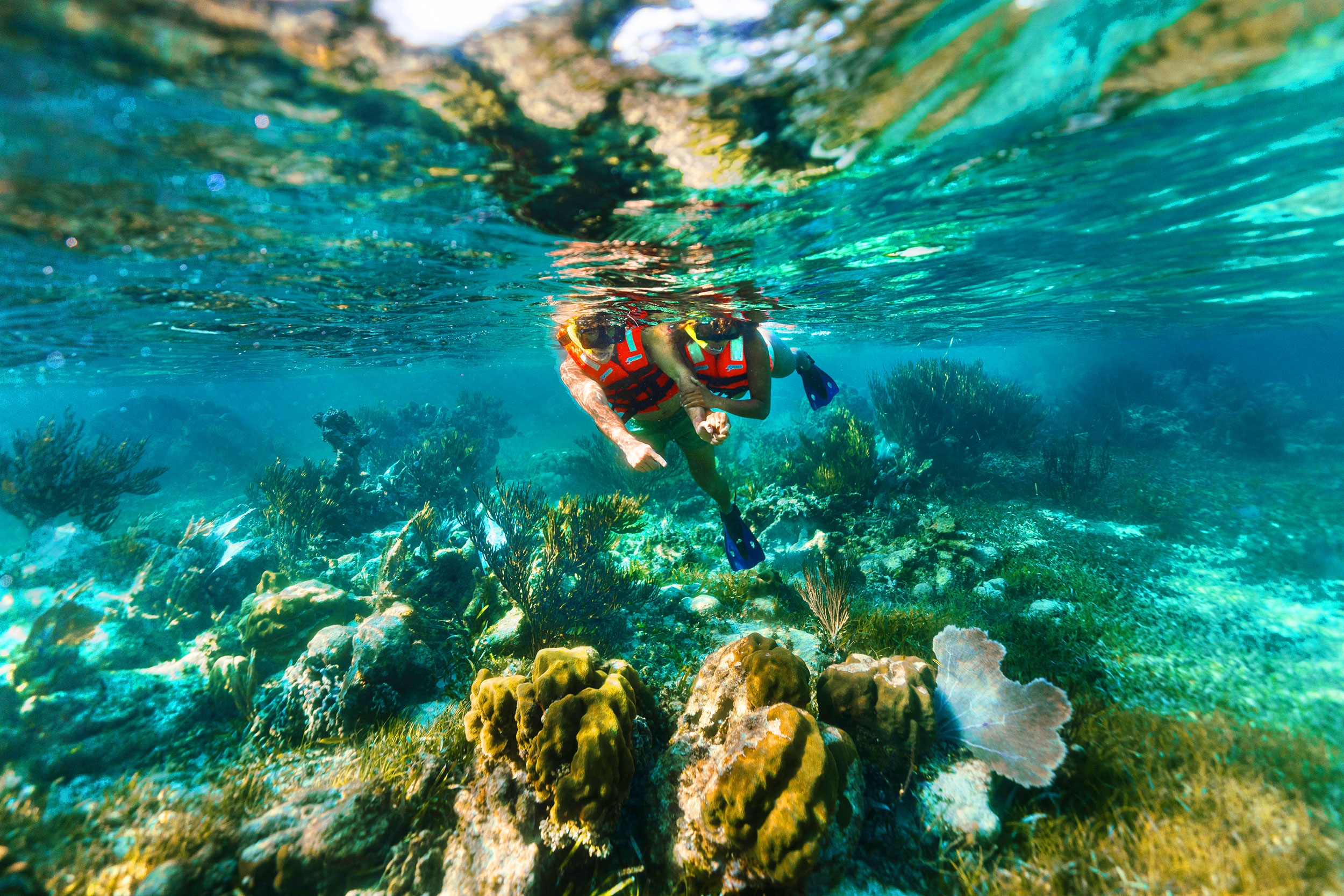 Combo 2 (Snorkeling Adventure + Cenote Adventuring)