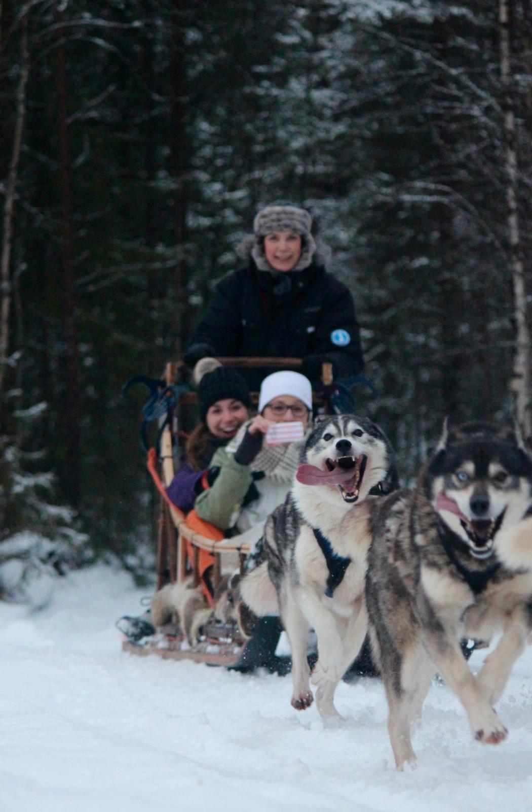 2 km sled rides, Christmas Season