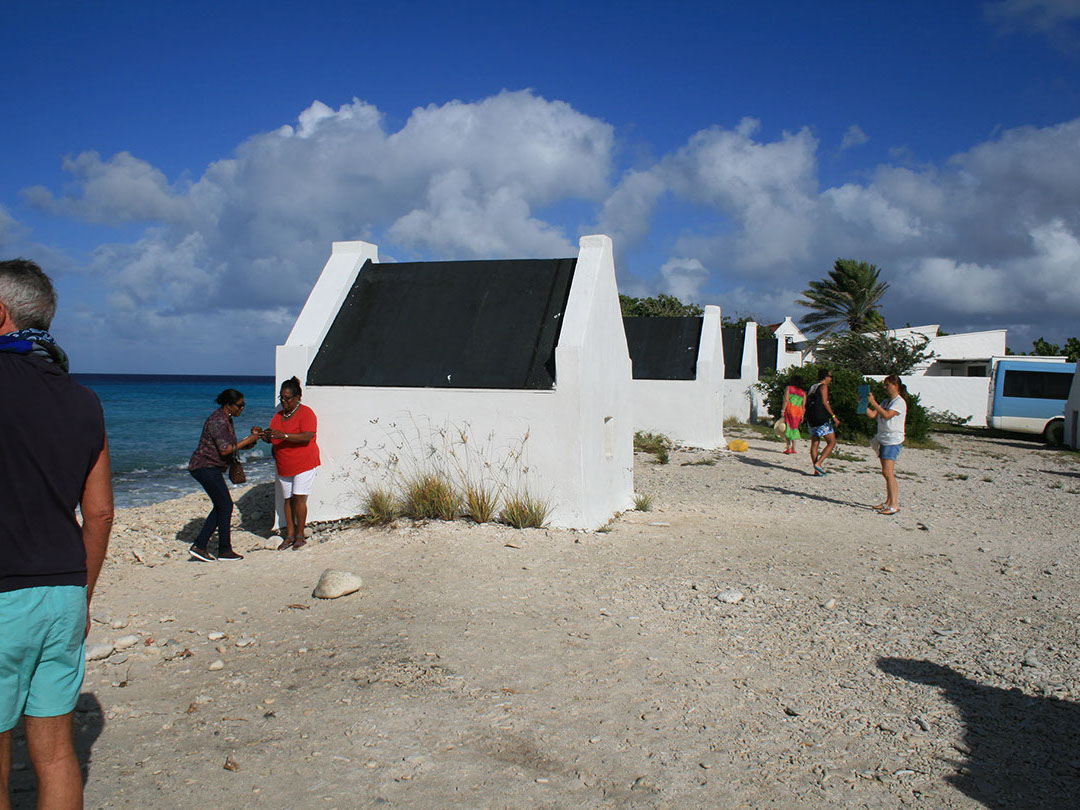 South Tour with Local Guide