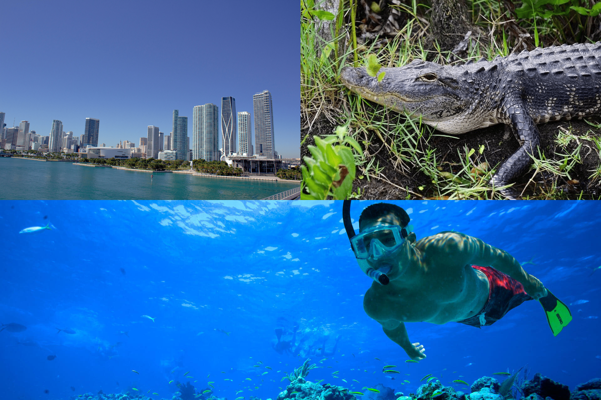 Ultimate 3-Day Florida Getaway: Miami Bus & Boat, Everglades Adventure & Key West Snorkeling