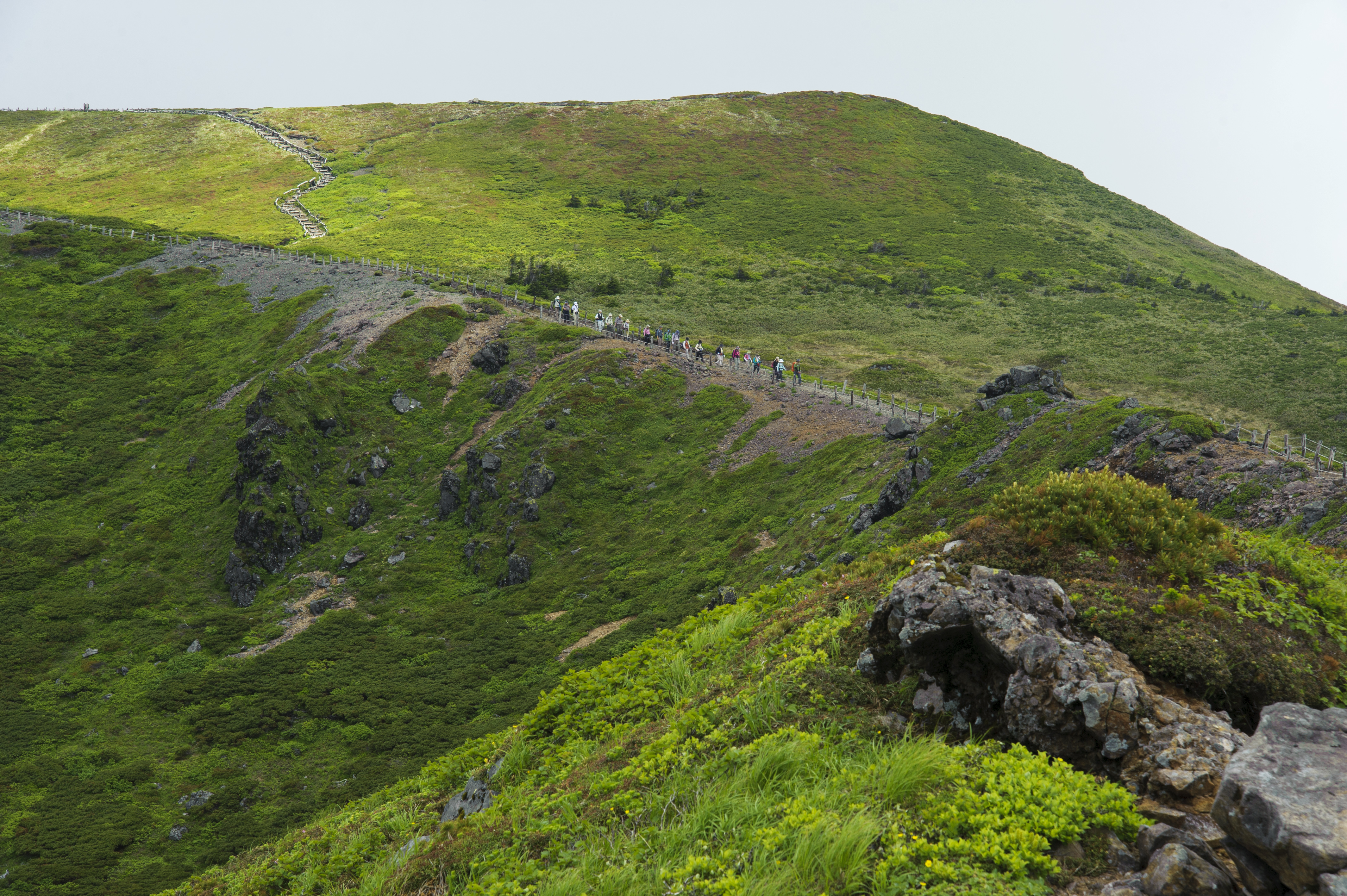 八甲田トレッキング　～　毛無パラダイスライン　～