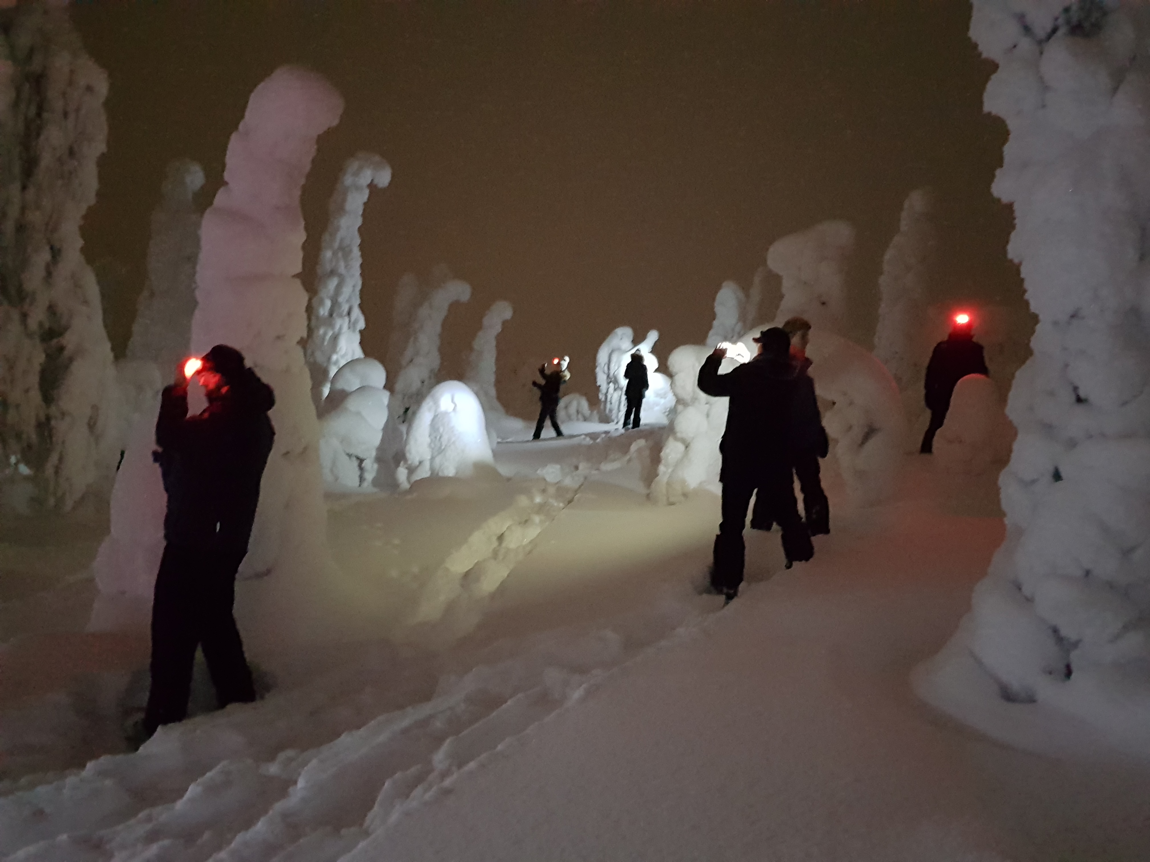 Snowshoeing in the evening