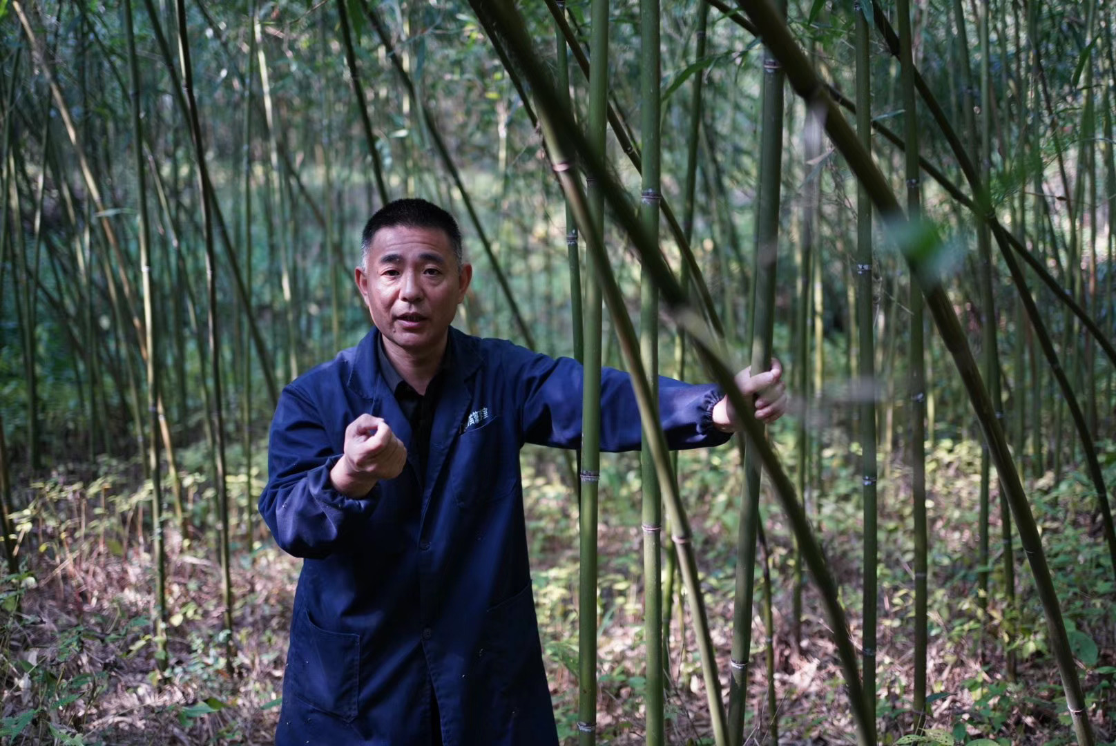 1-day Craftsman-guided Chinese Bamboo Flute Crafting Experience from Hangzhou