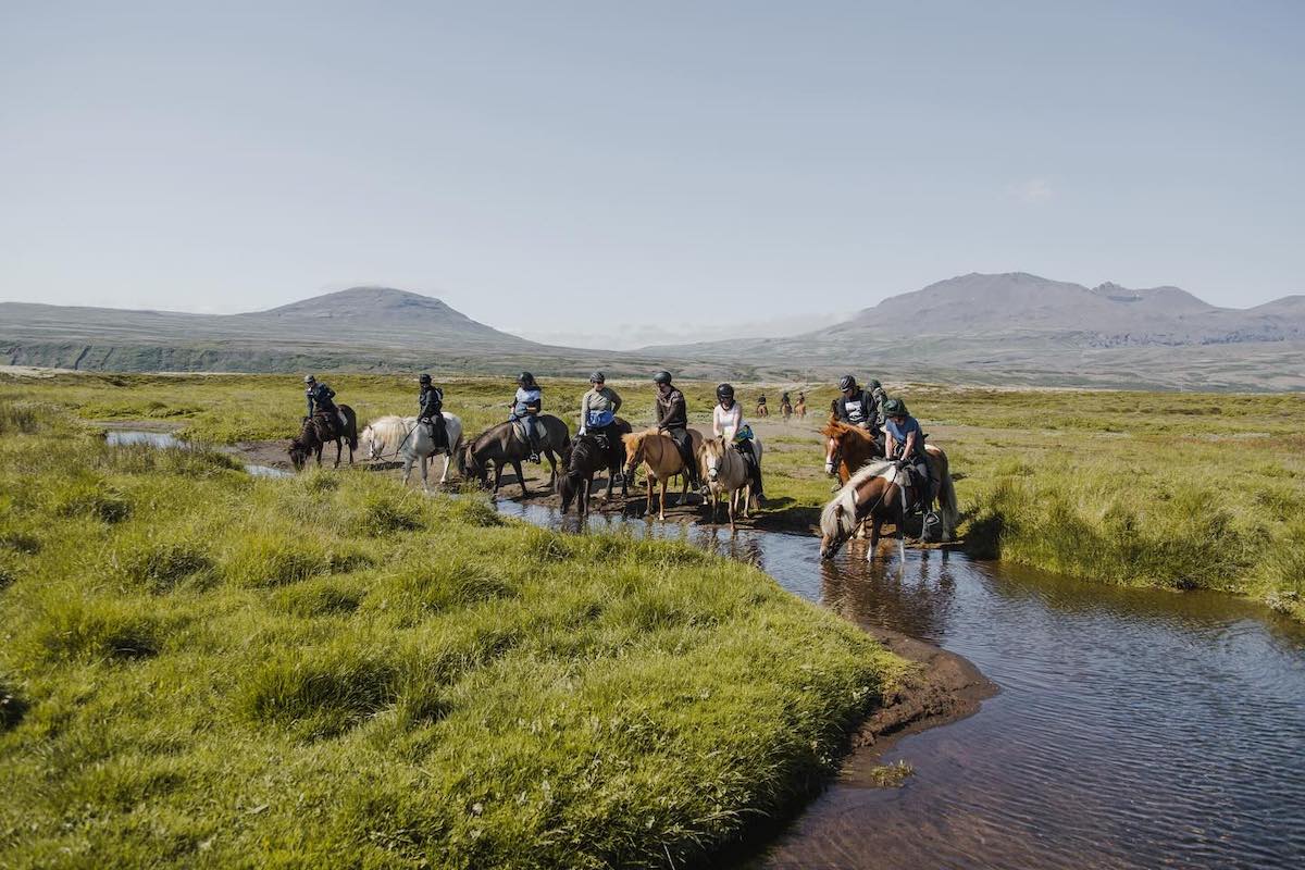 Trail Ride for All Levels