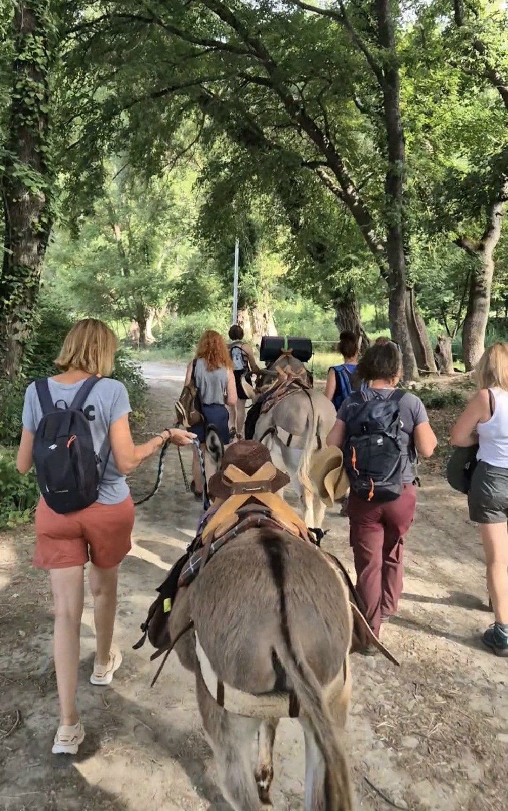 Nature & Yoga Hike Accompanied by Donkeys