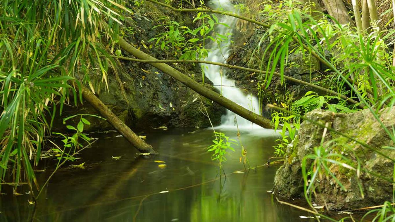 Explore Gran Canaria’s Natural Wonders on a Week-Long Self-Guided Hiking Adventure