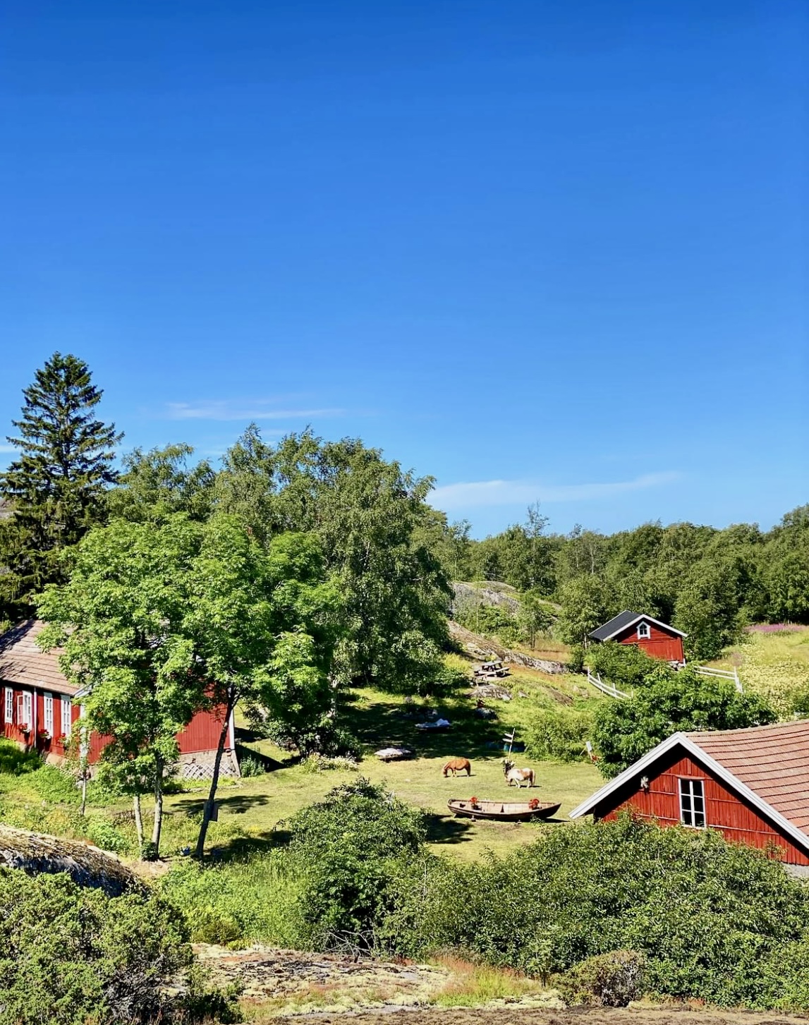 A Culinary trip to the island of Hyppeis & Hotel Hyppeis