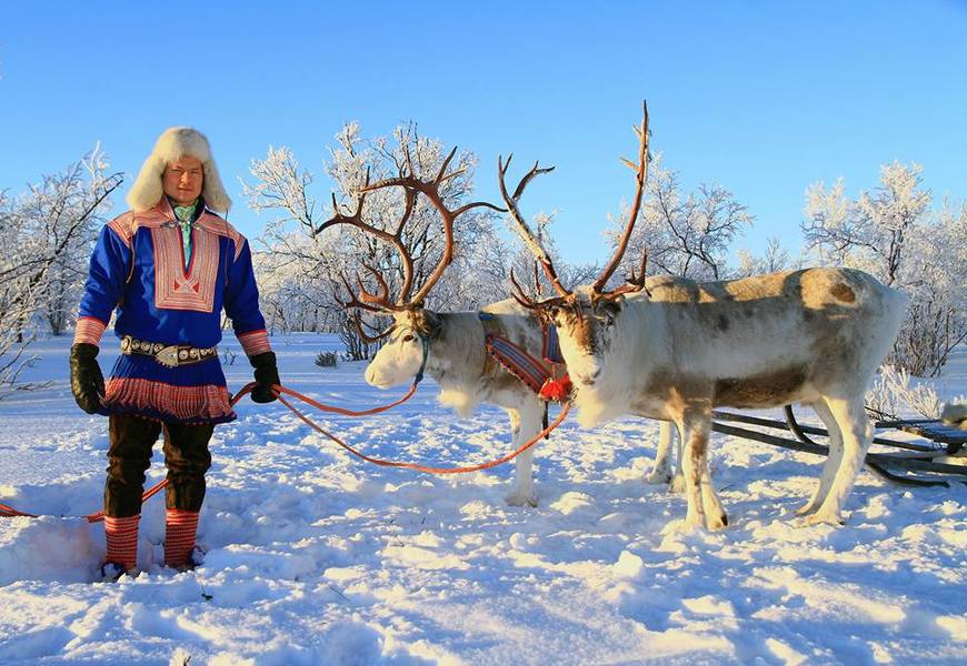 Excursion to Norwegian Lapland