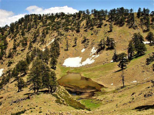 3-days hiking in Valia Calda Forest, Greece