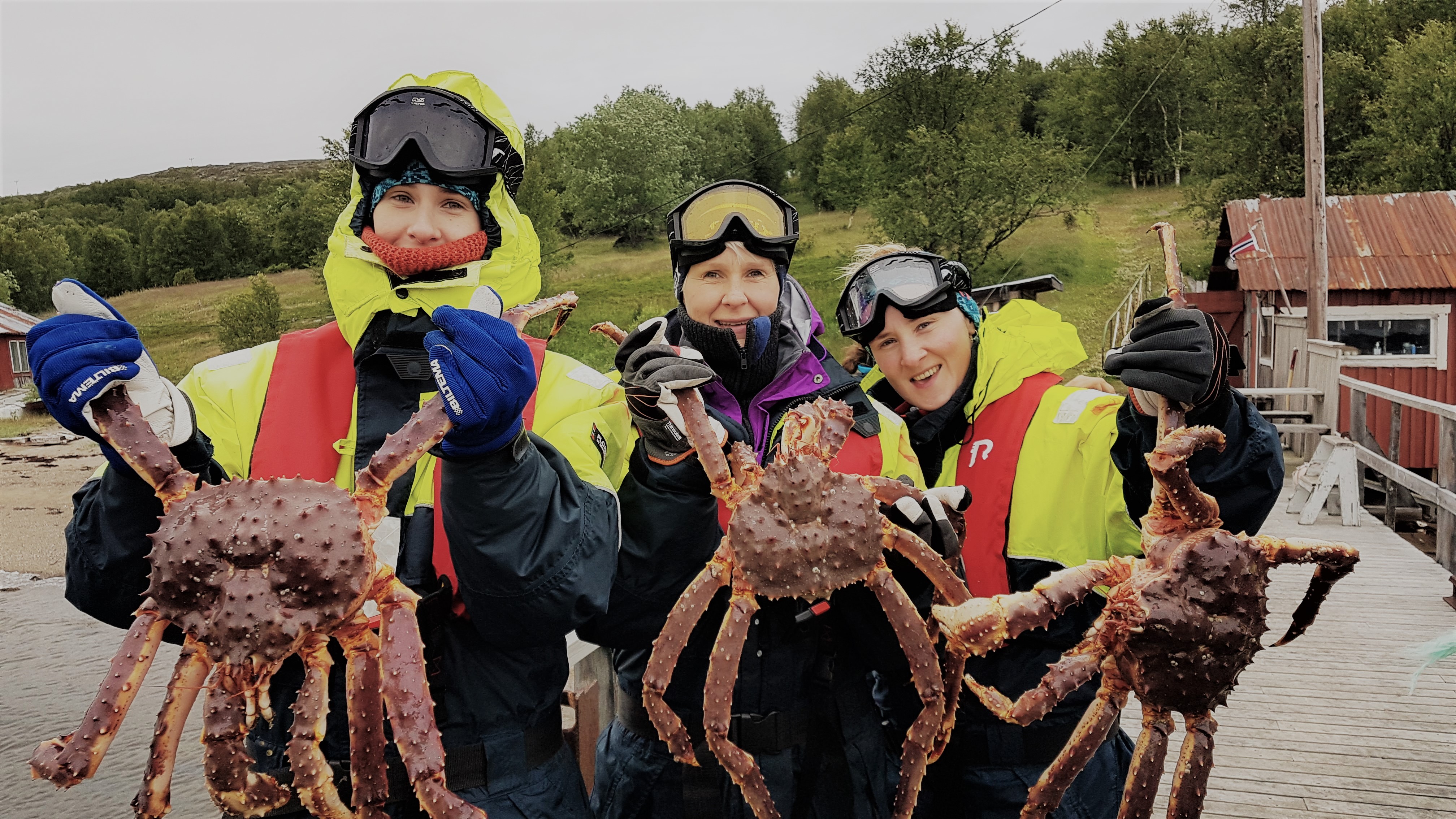 King Crab Safari by RIB Boat