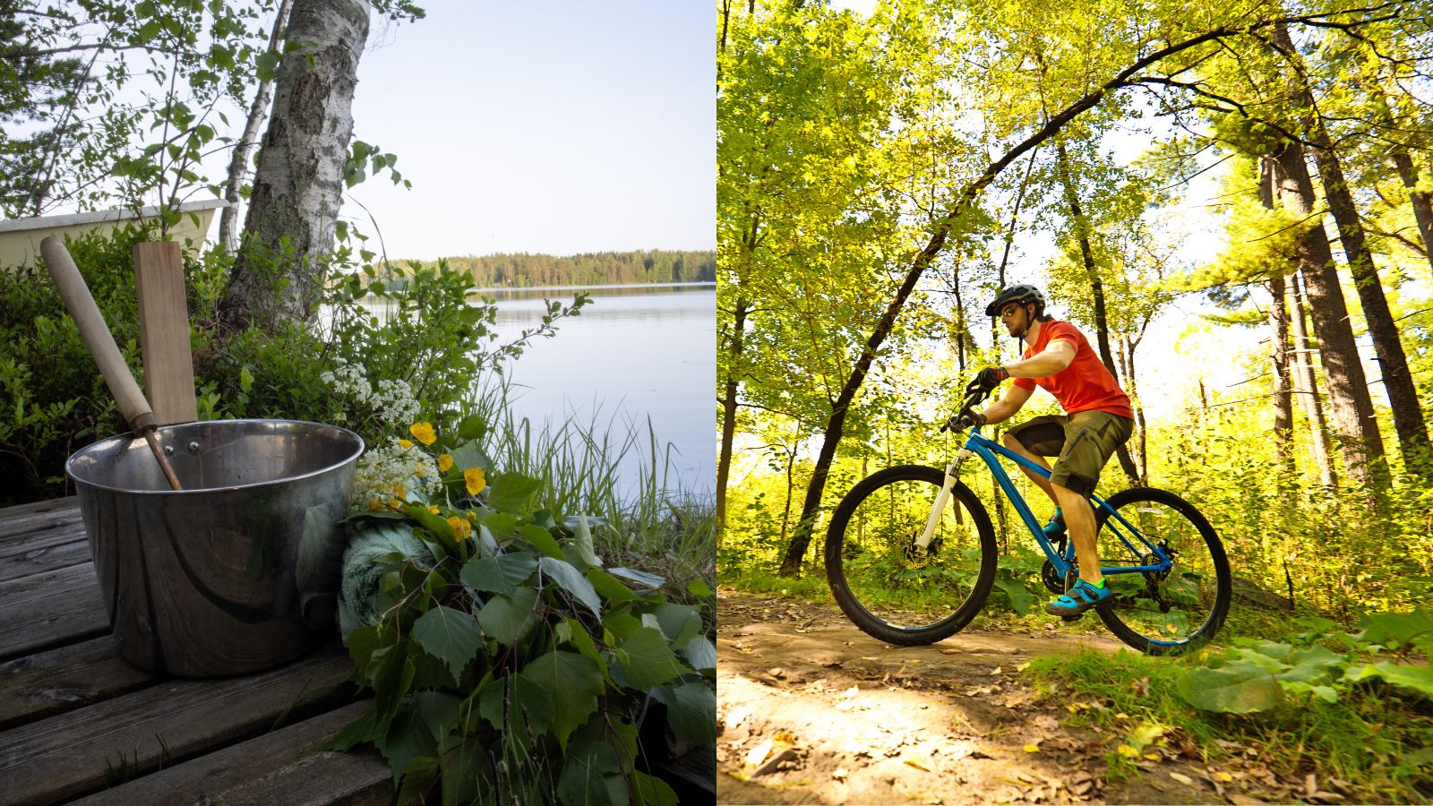 Midnight Sun E-Bike & Sauna Adventure