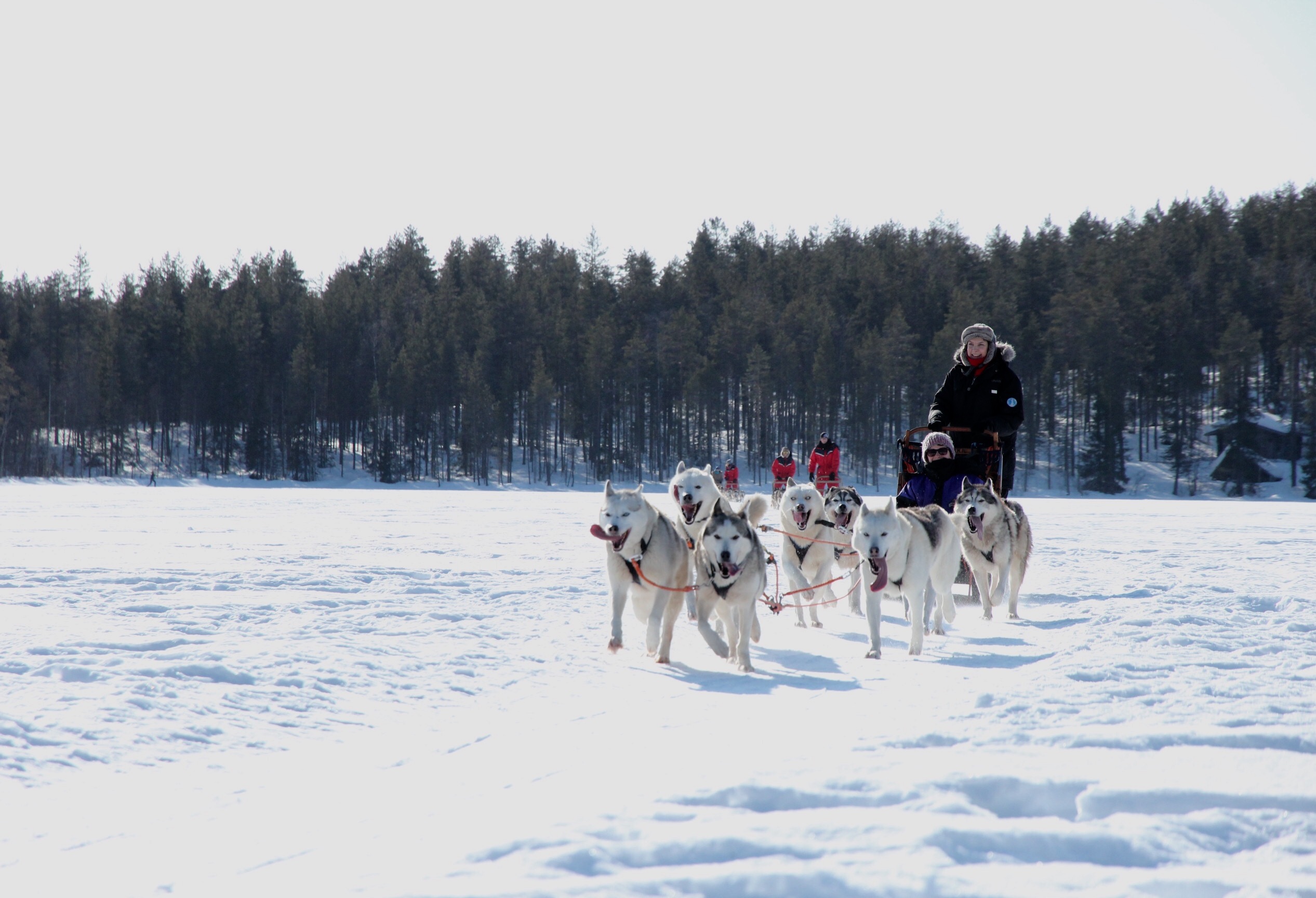 12 km mush a bit more, 12th January-10th April