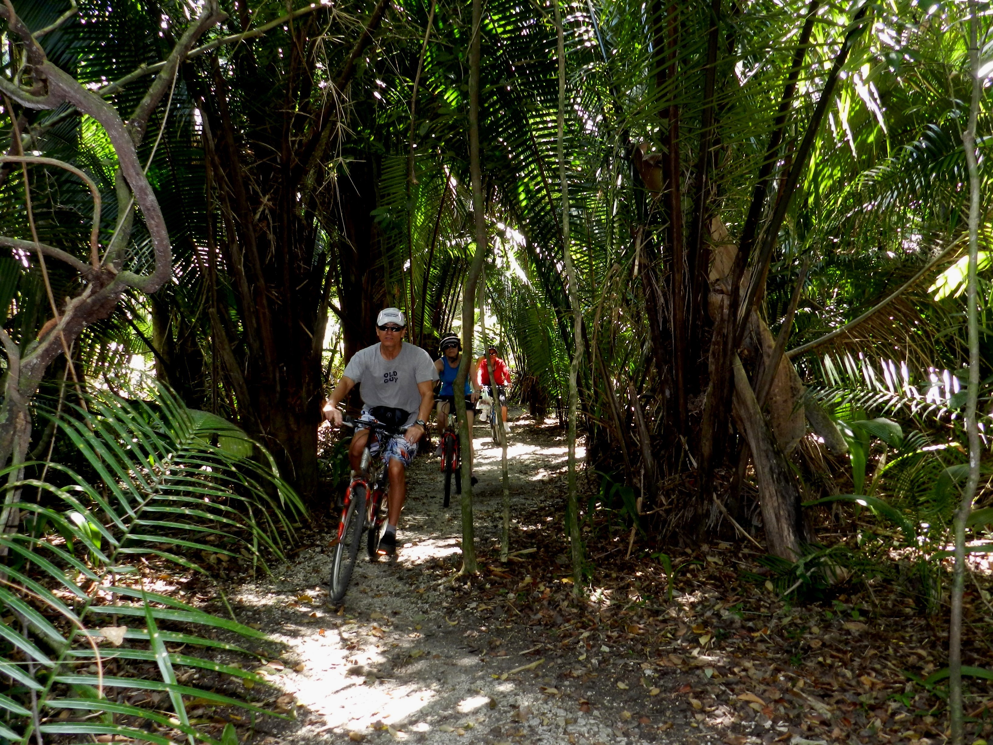 Jungle Cruisers Bike Tour at Bacab Eco Park