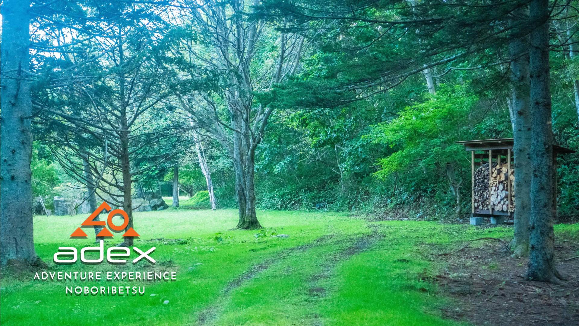 adex Forest Nature Walk Tour