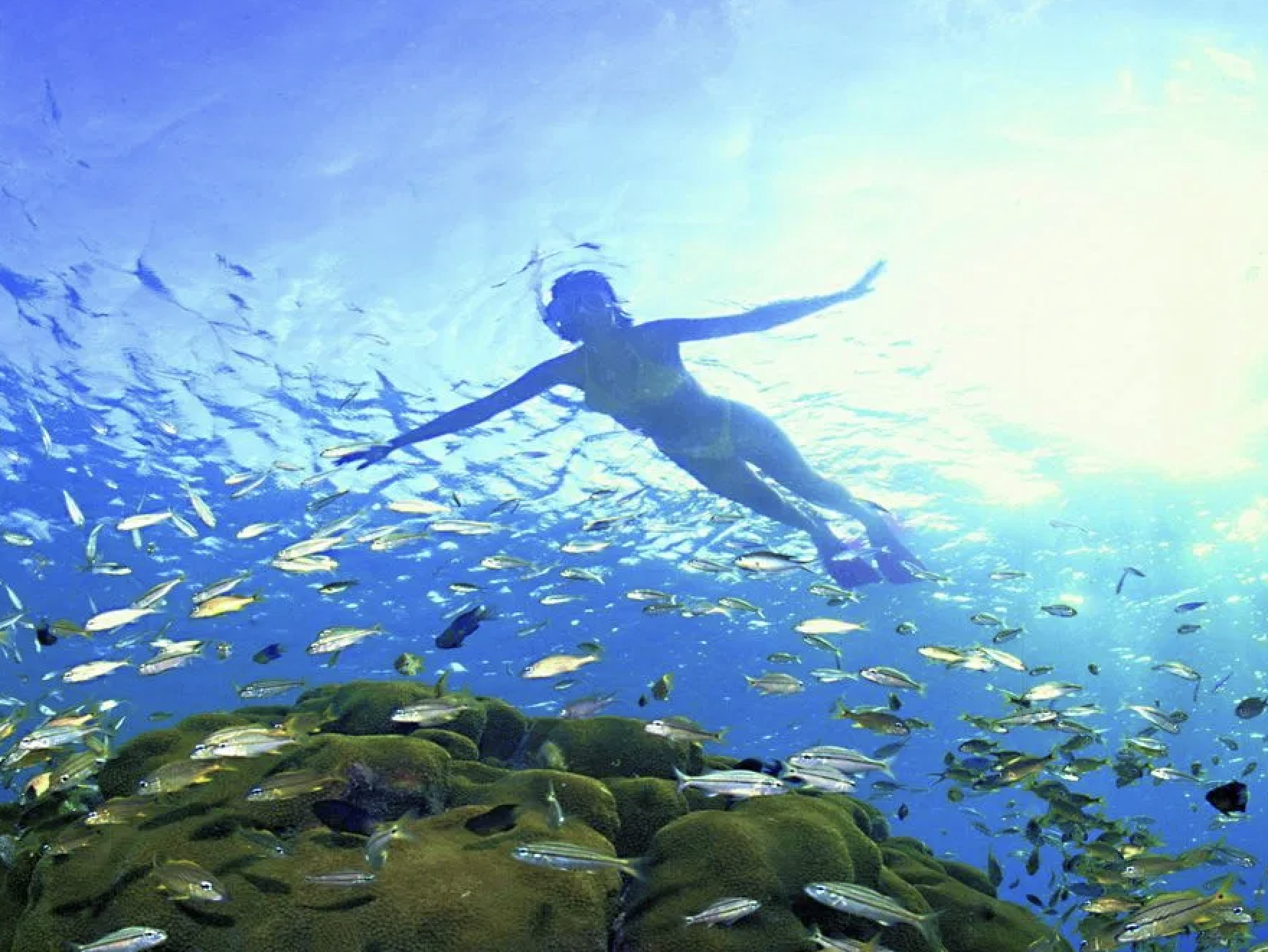 Guided Snorkel Tour at Klein Bonaire