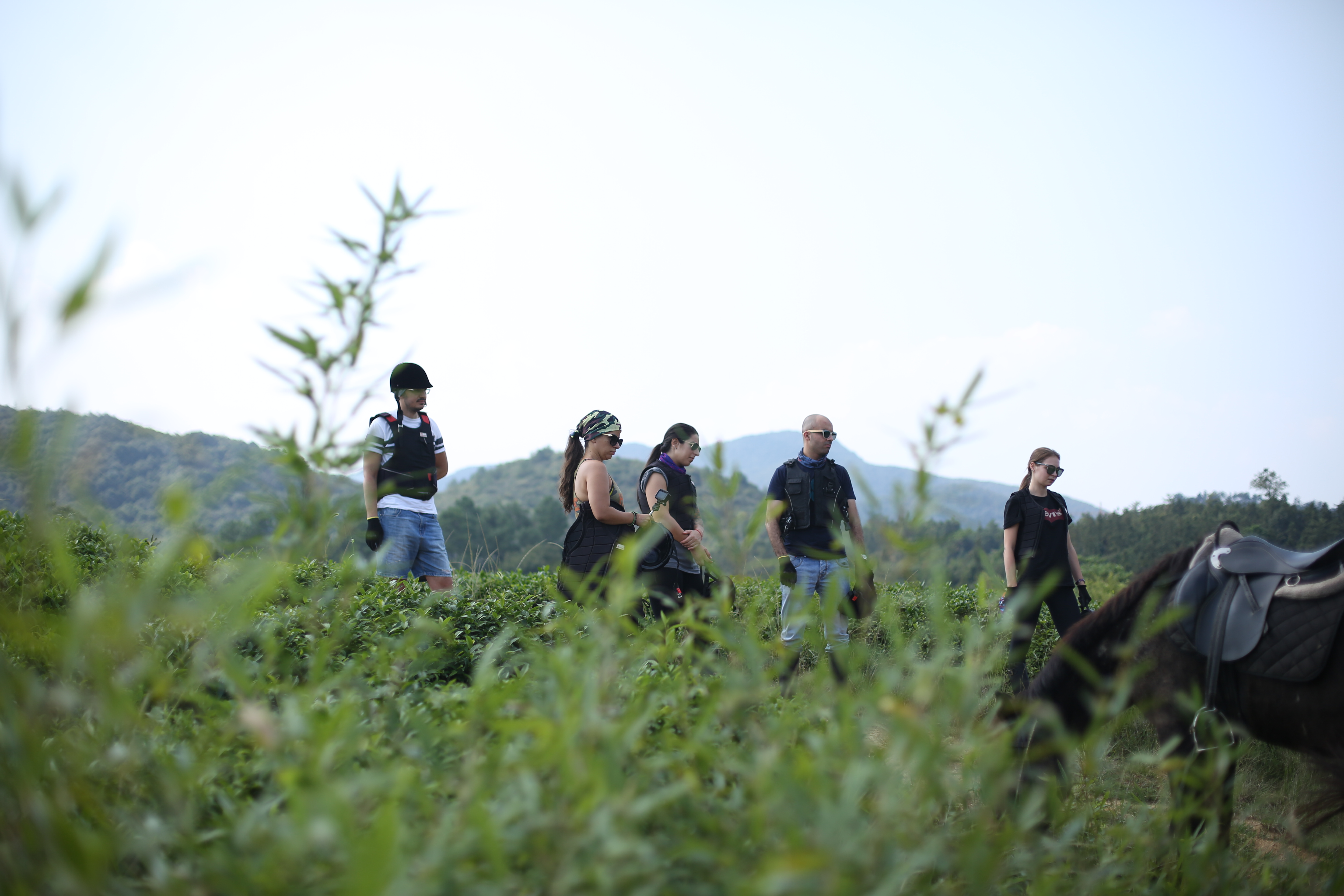 Half-day Beginner’s Horseback Trail Ride on Mount Mogan
