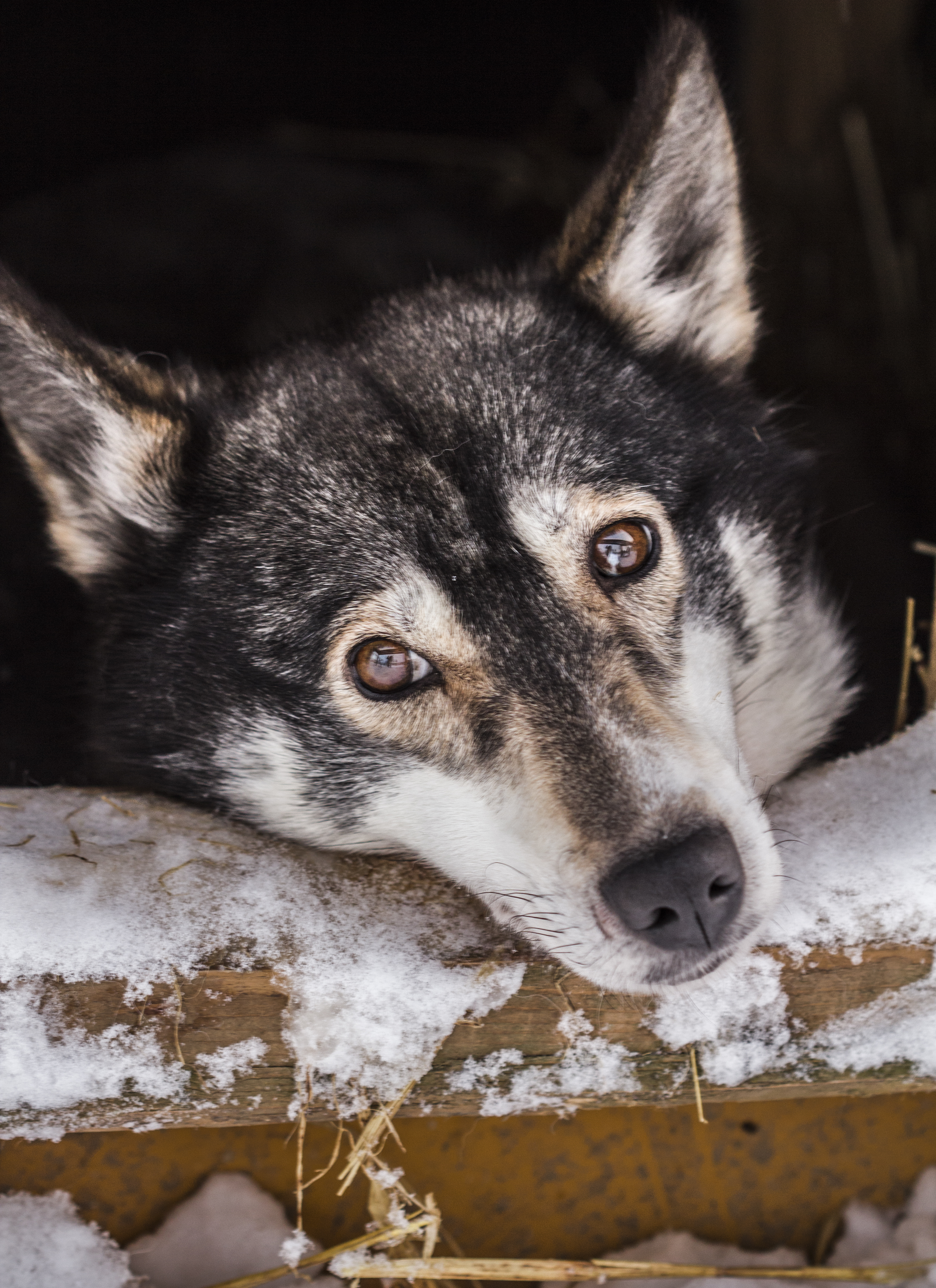 Winter Adventure Day for Families