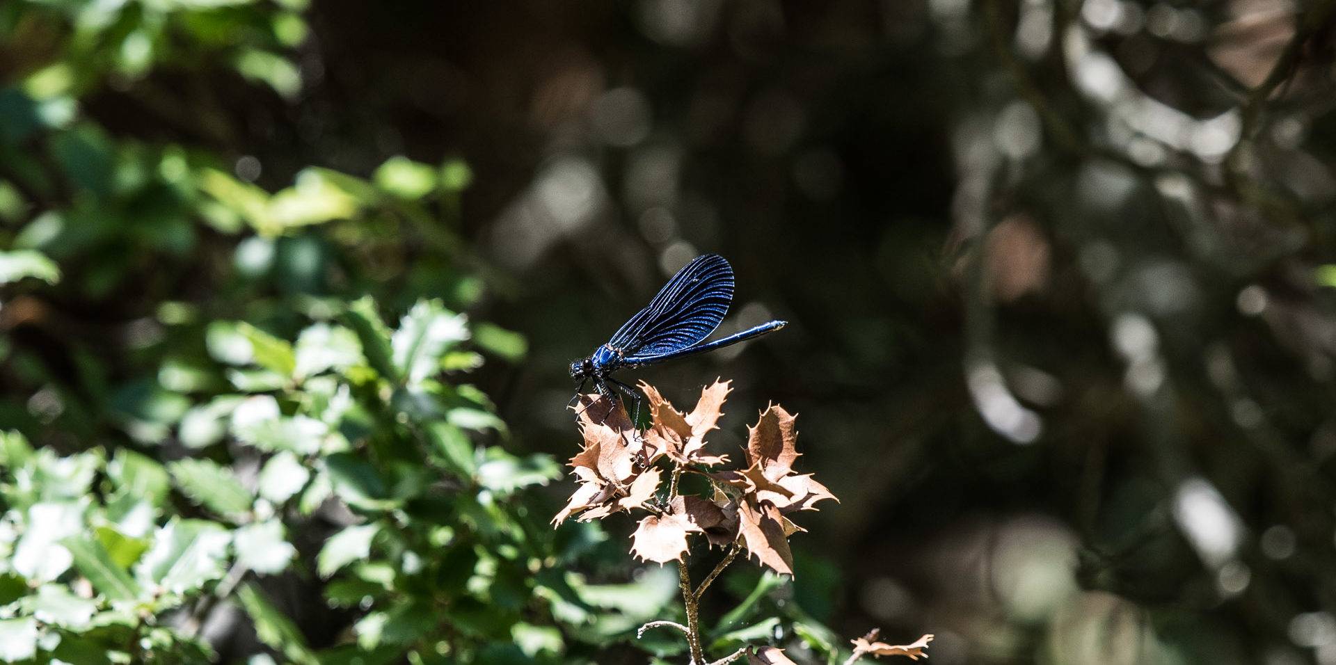 3 day excursion for hiking and kayaking in Kalavrita, Greece