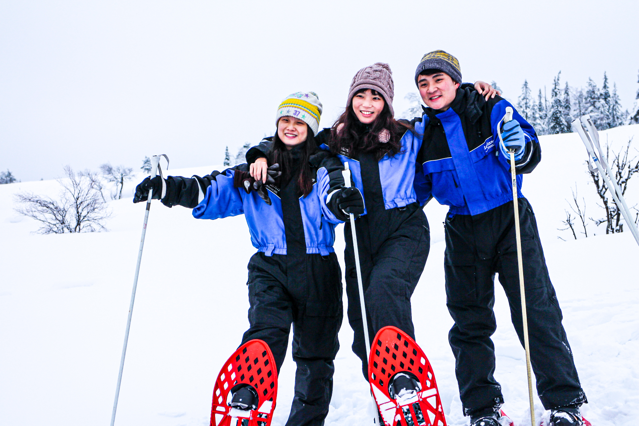Snowshoe Trip in the Forest - Rovaniemi