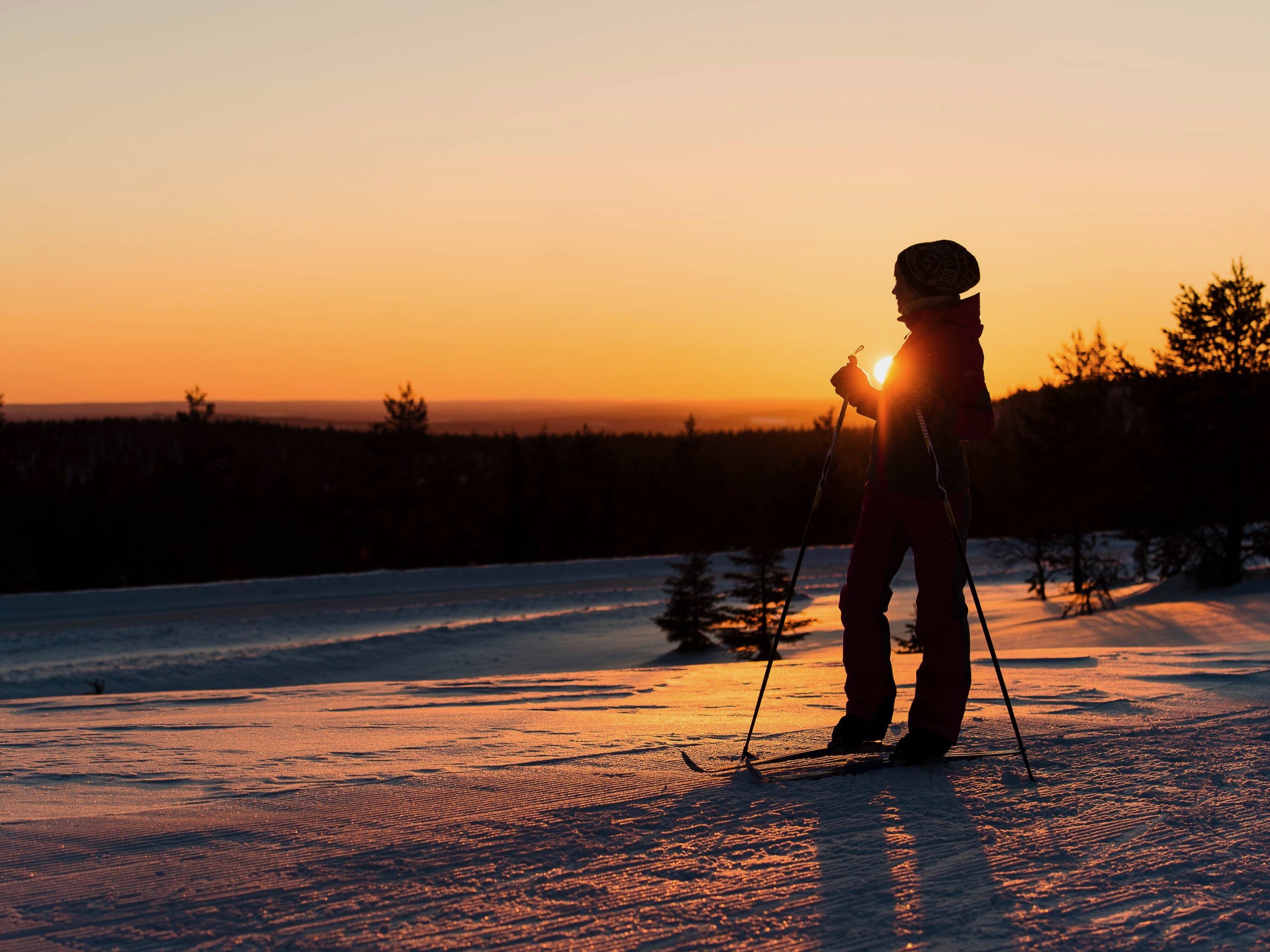 Skiing Trip to the Arctic Nature, 3 hours (Private Tour)