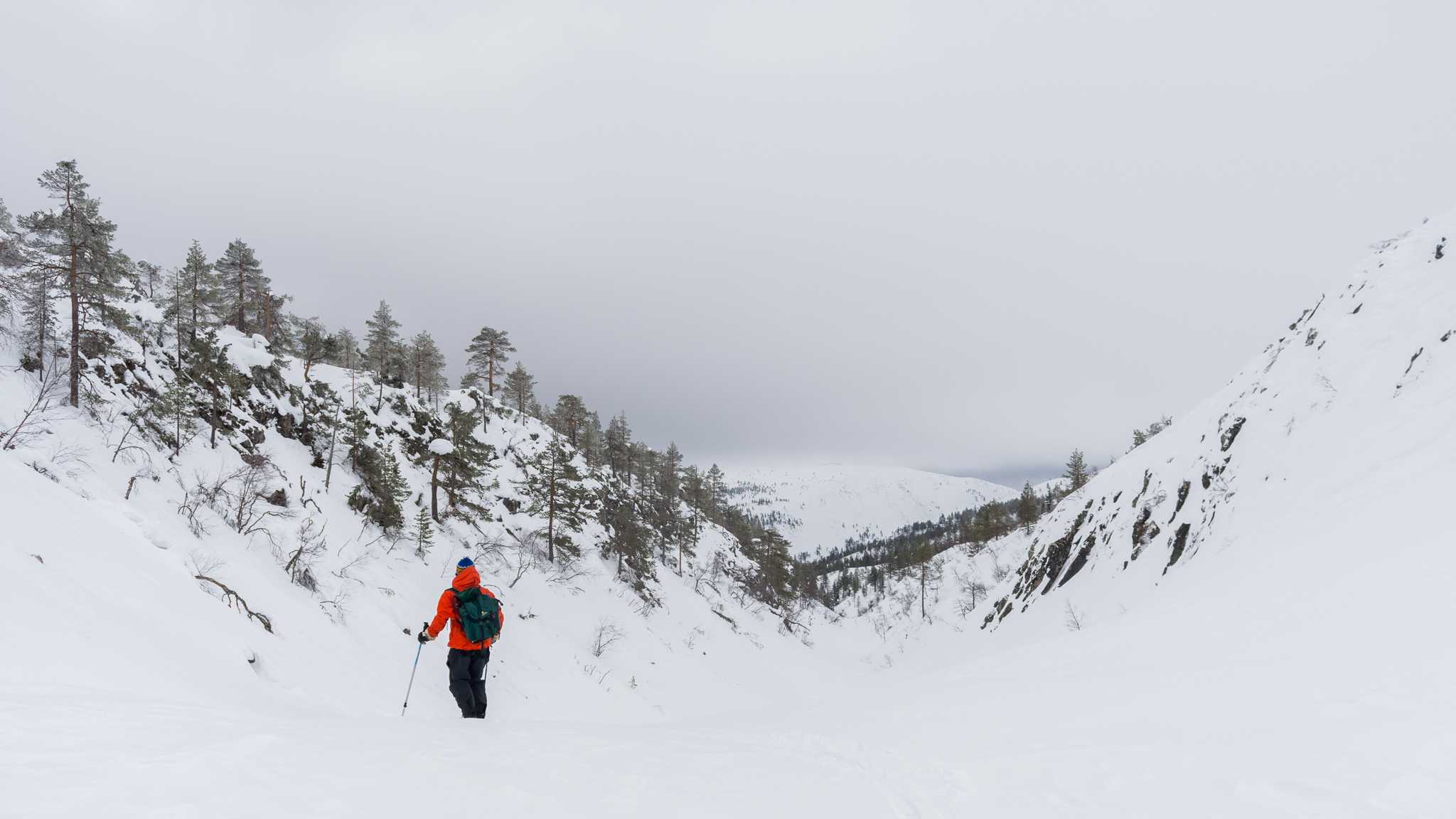 4 Days 3 Nights Arctic Challenge in Pyhä-Luosto National Park