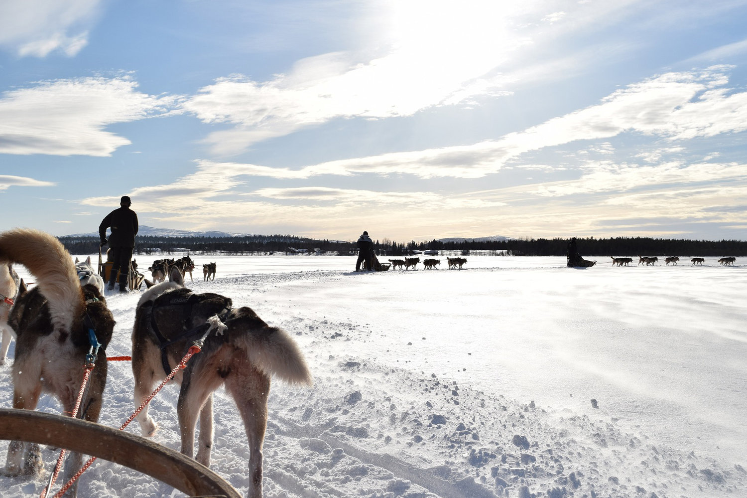 COMBINED SNOWMOBILE AND HUSKY SAFARI 6 KM
