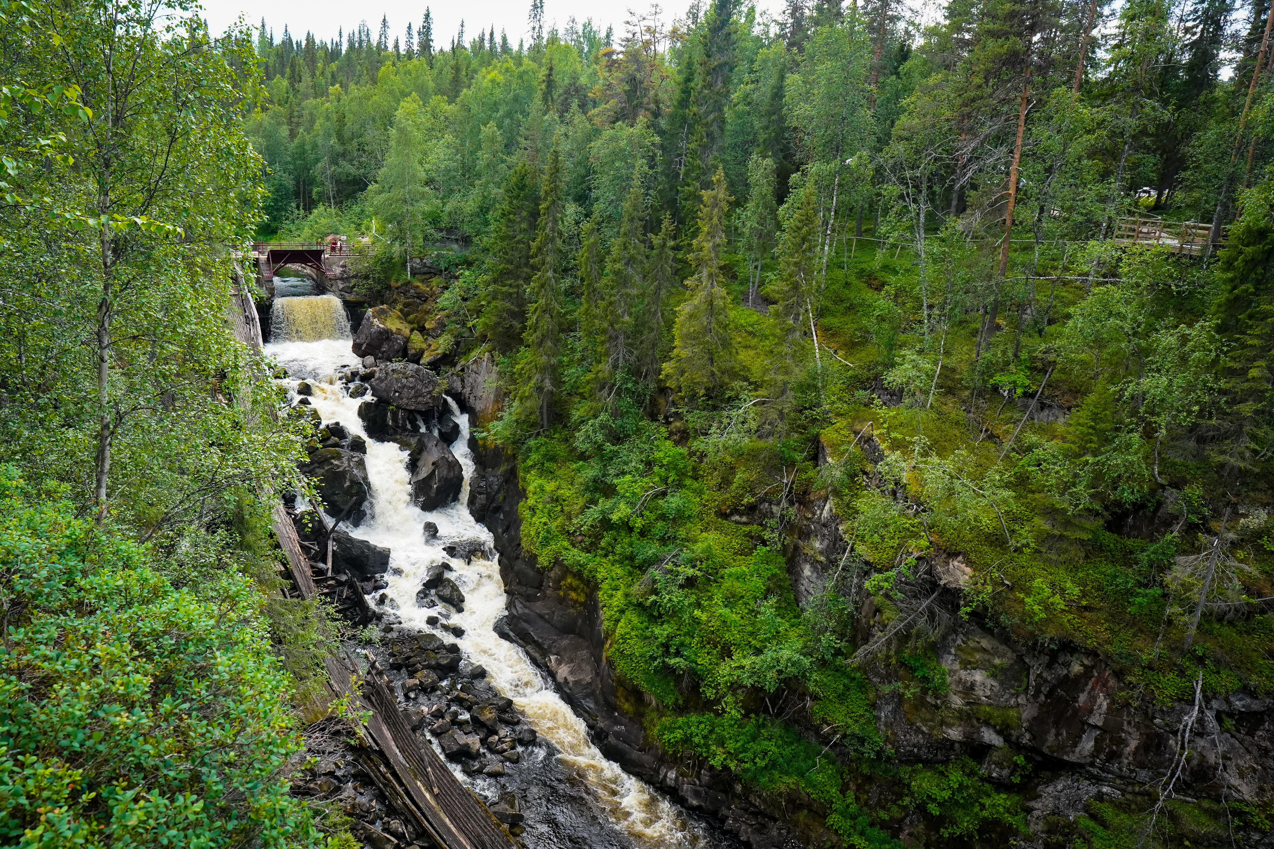 Auttiköngäs Wilderness Hike