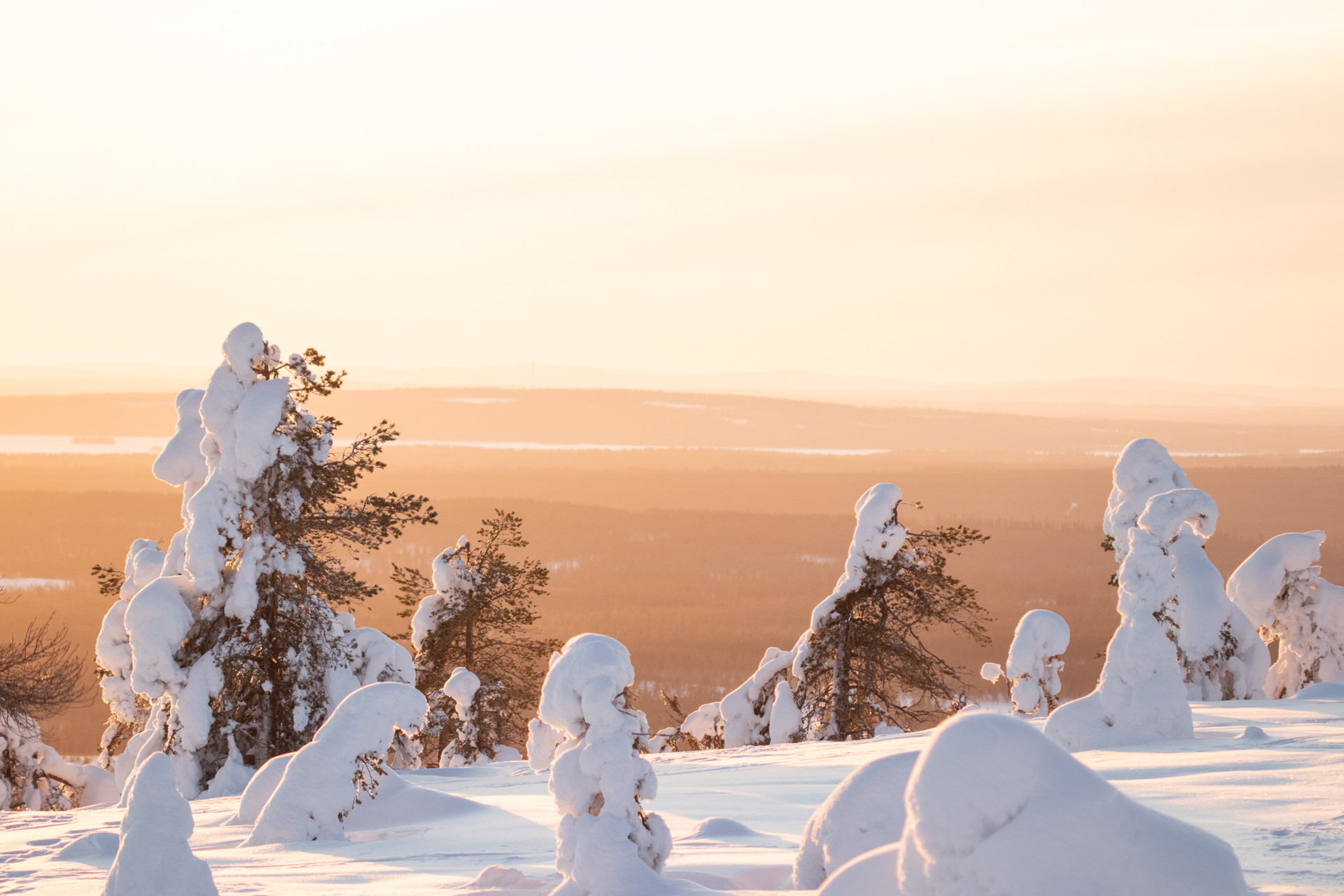 Winter Hike in Riisitunturi National Park