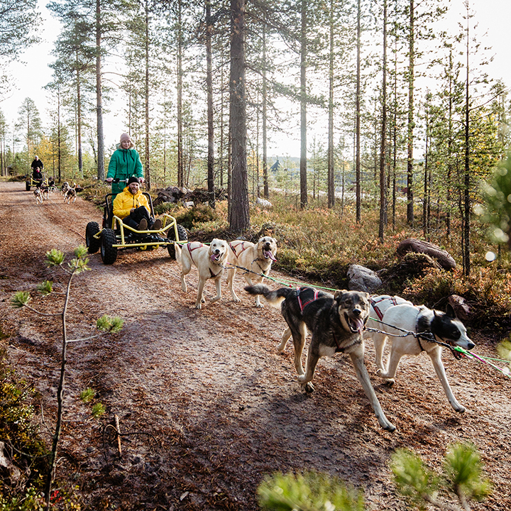 Born to Run tour AUTUMN