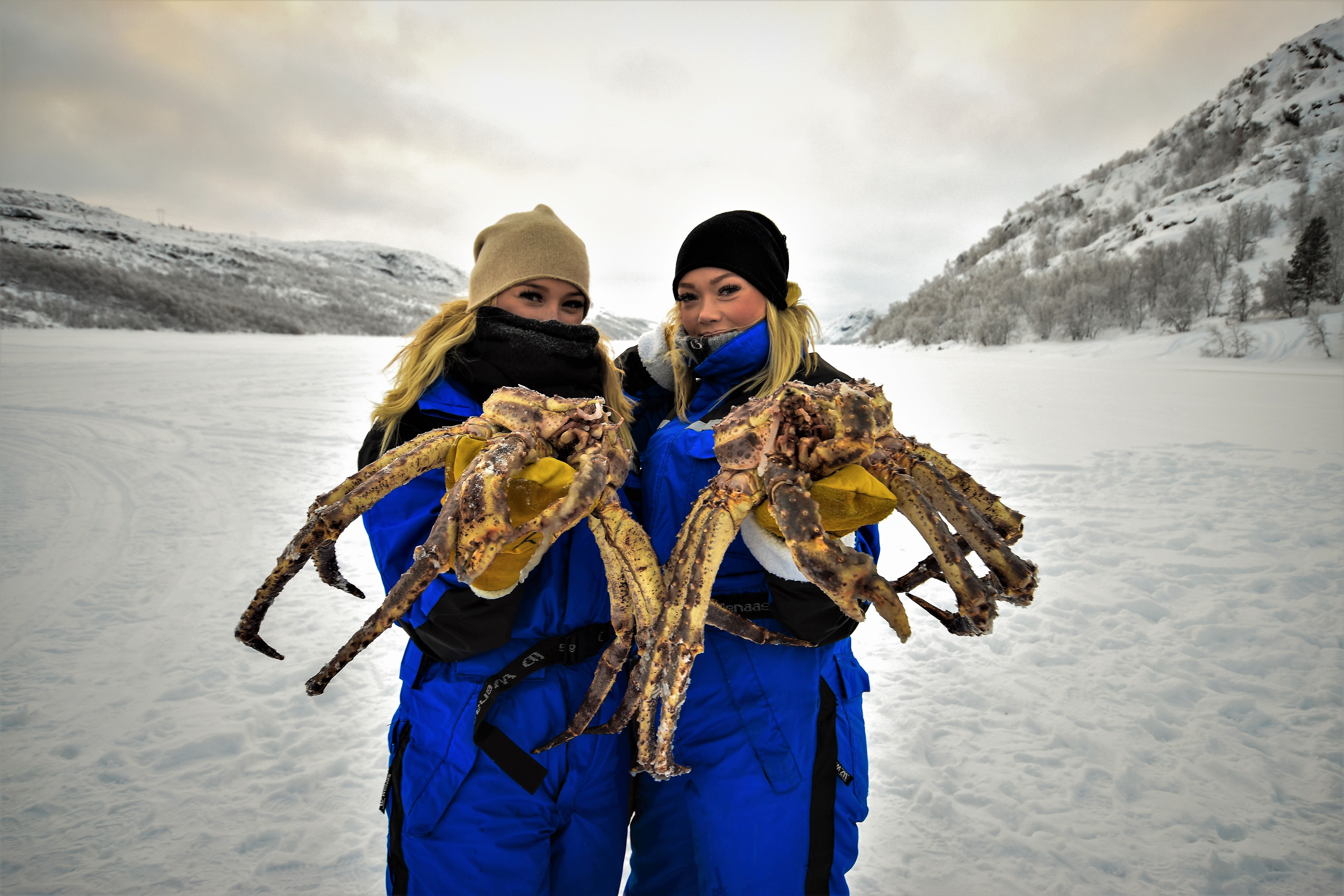 King Crab Safari Winter Safari